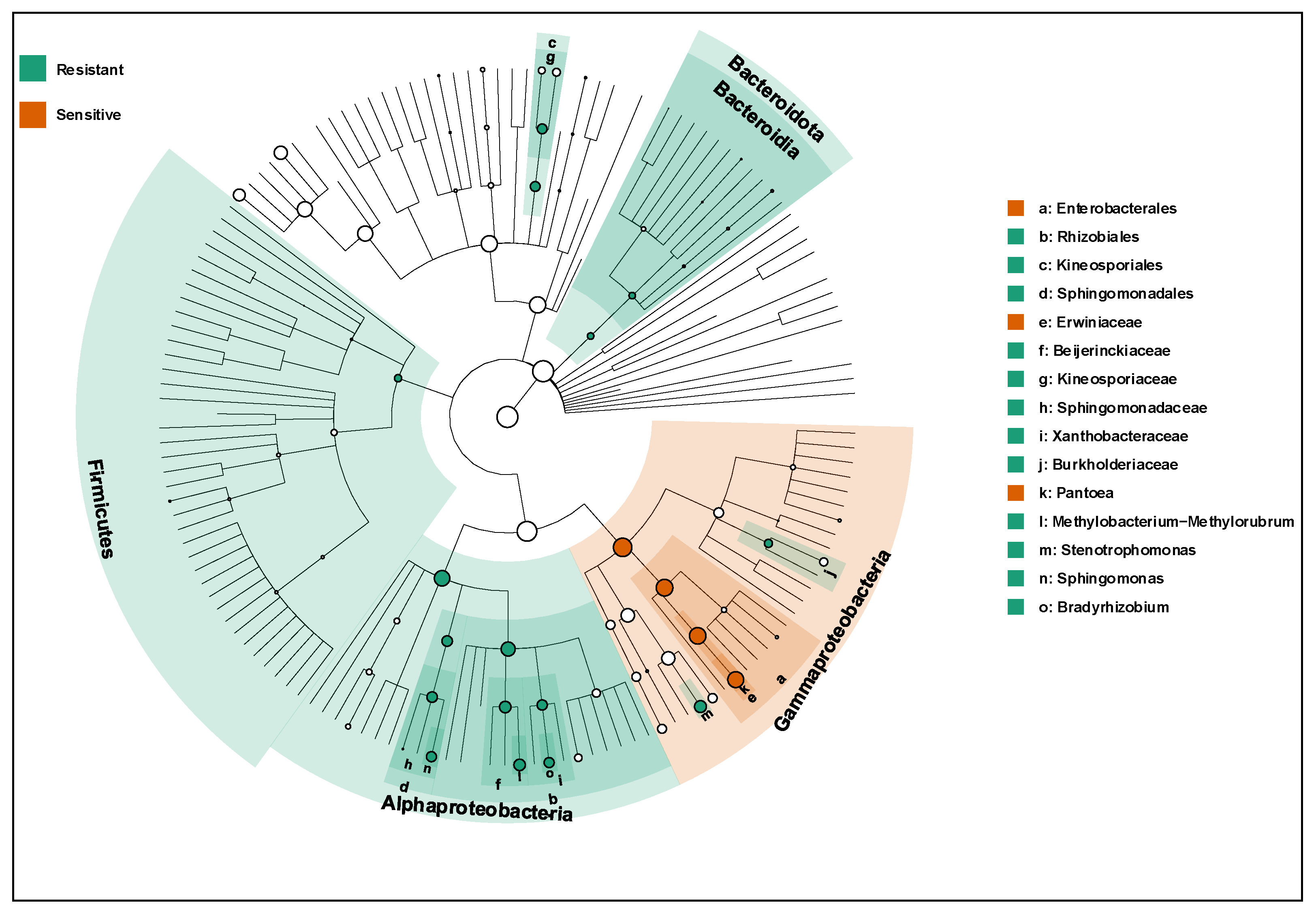 Agronomy 16 00280 g003