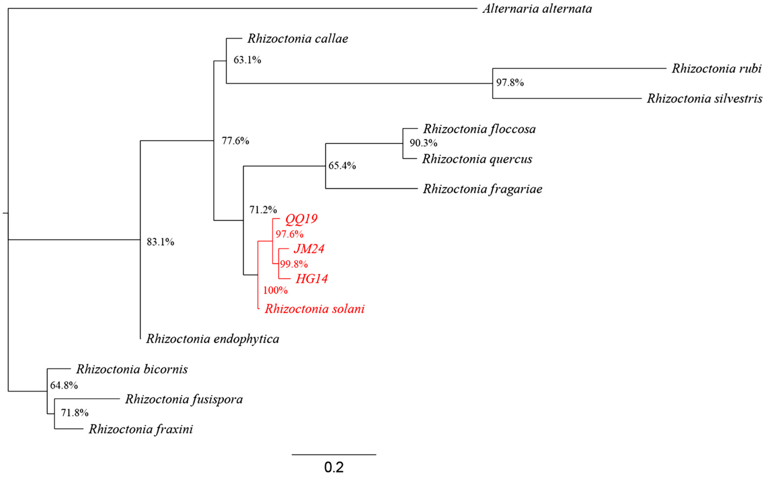 Agronomy 16 00281 g002
