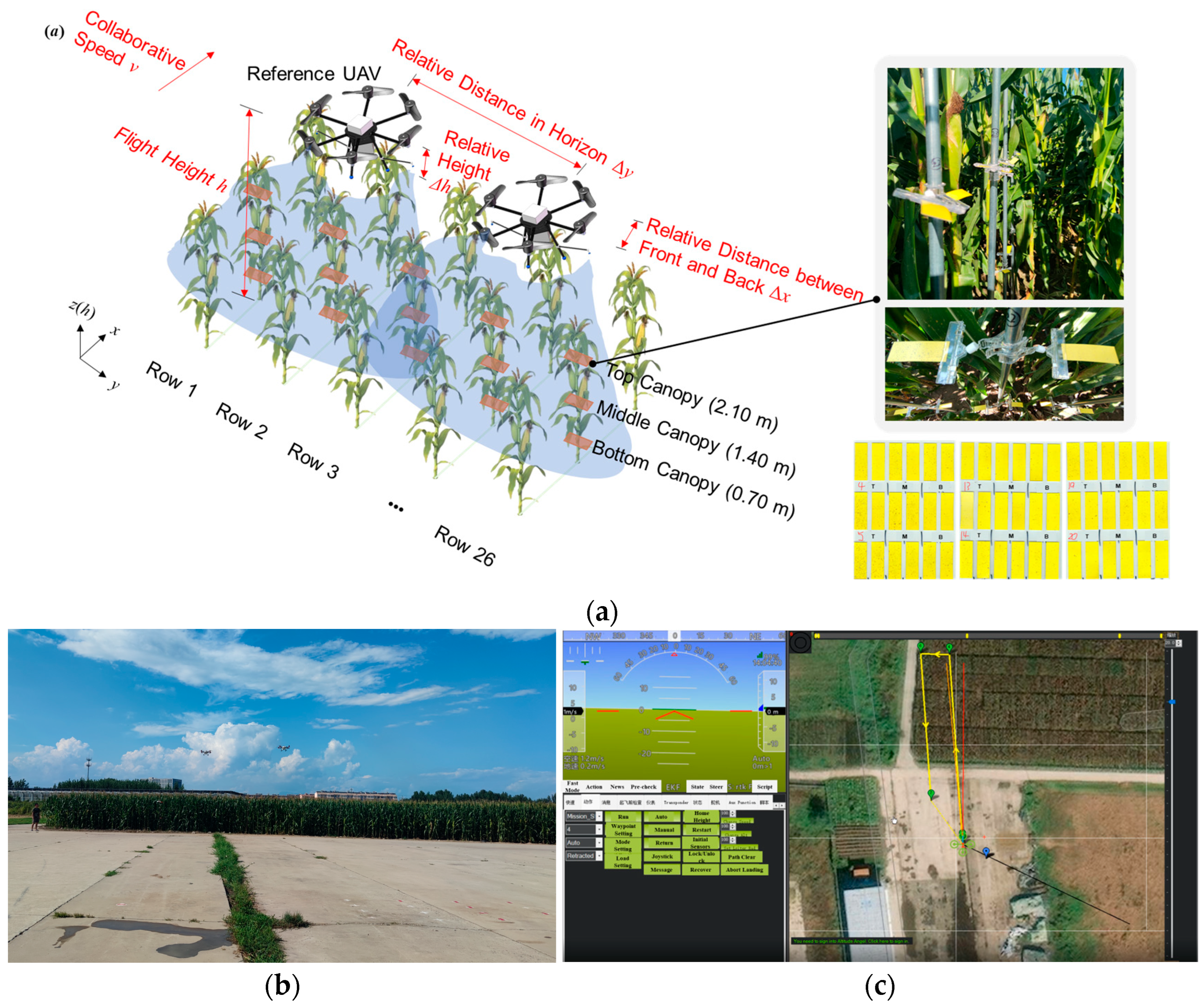 Agronomy 16 00292 g003 Agronomy 16 00292 g003