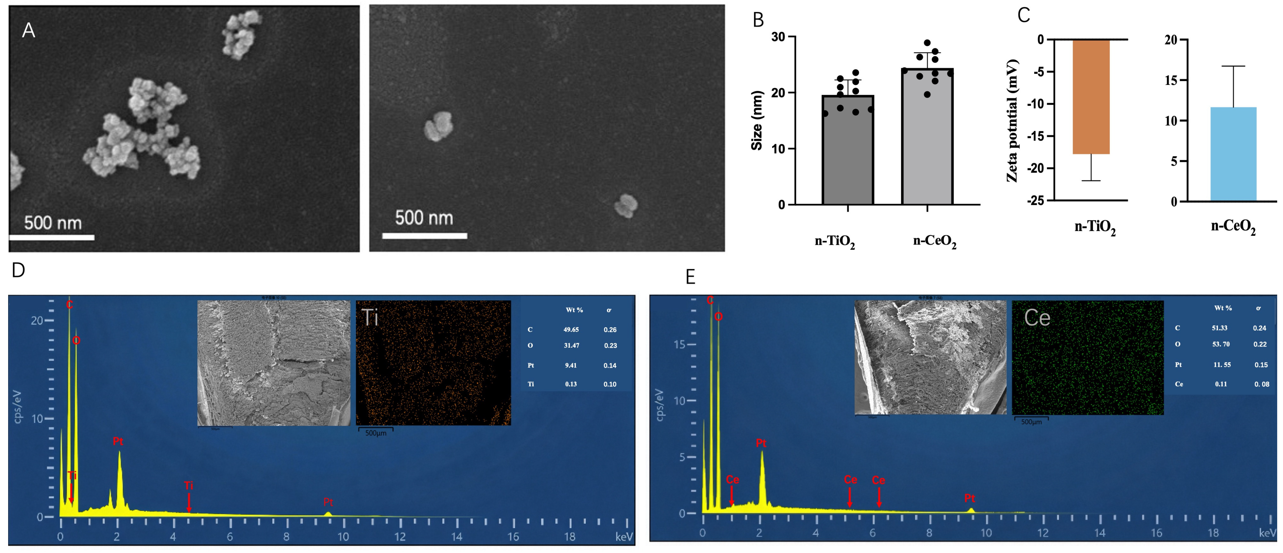 Agronomy 16 00316 g001 Agronomy 16 00316 g001
