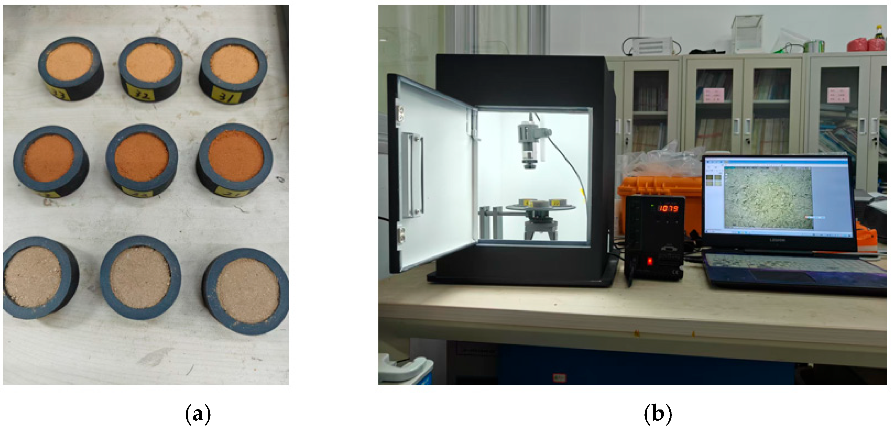 Agronomy 16 00333 g002 Agronomy 16 00333 g002