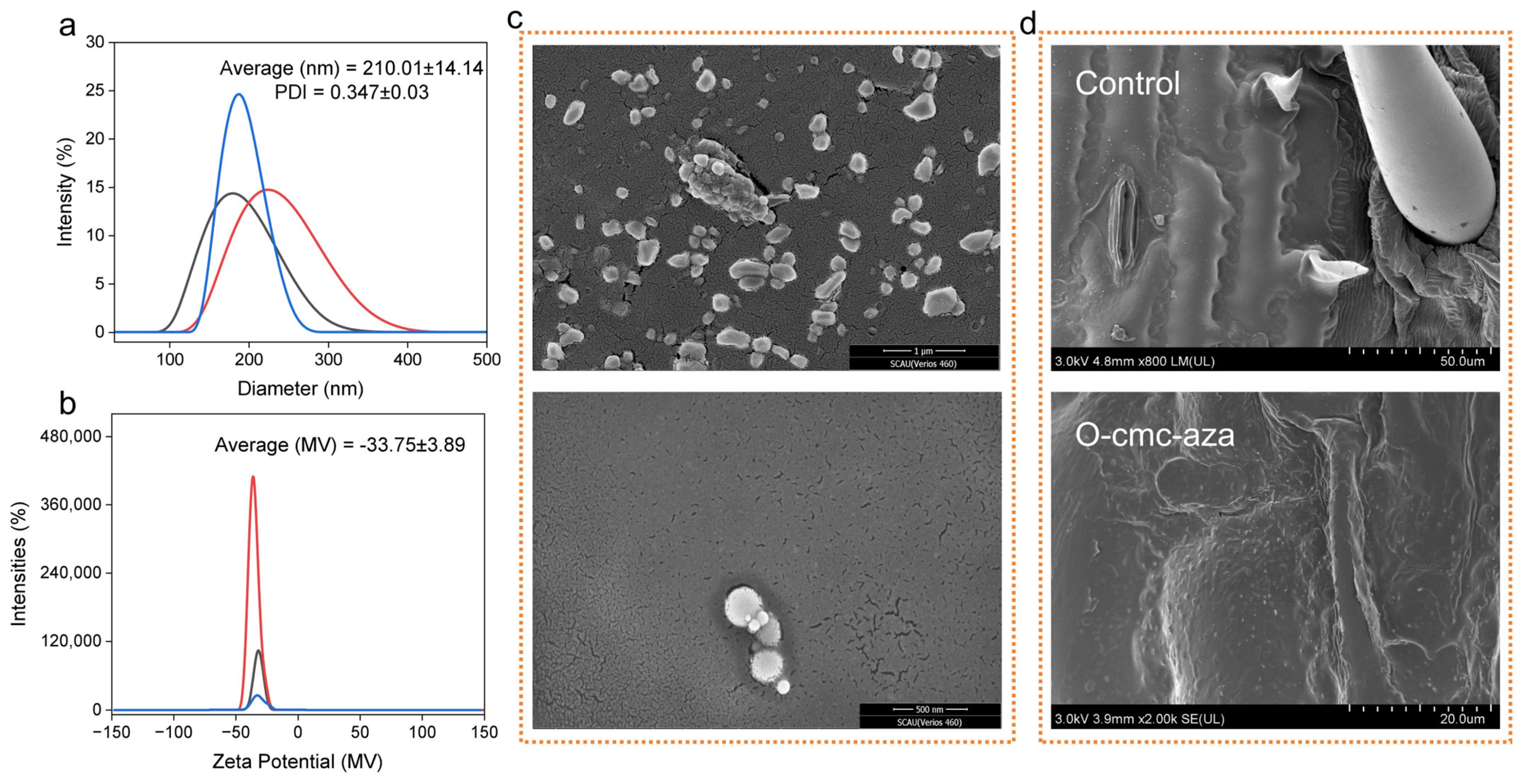 Agronomy 16 00334 g001 Agronomy 16 00334 g001