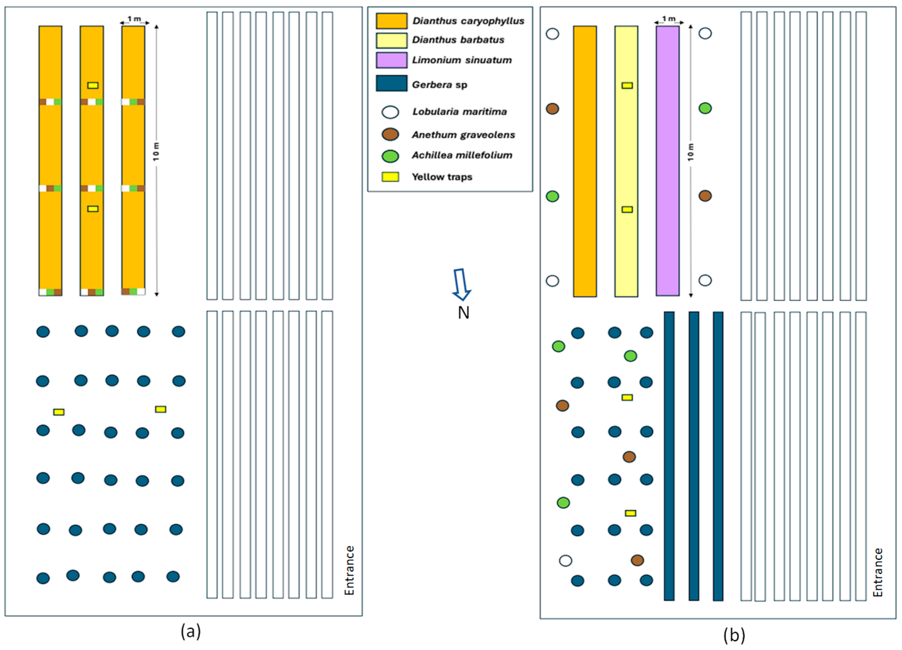 Agronomy 16 00335 g001 Agronomy 16 00335 g001