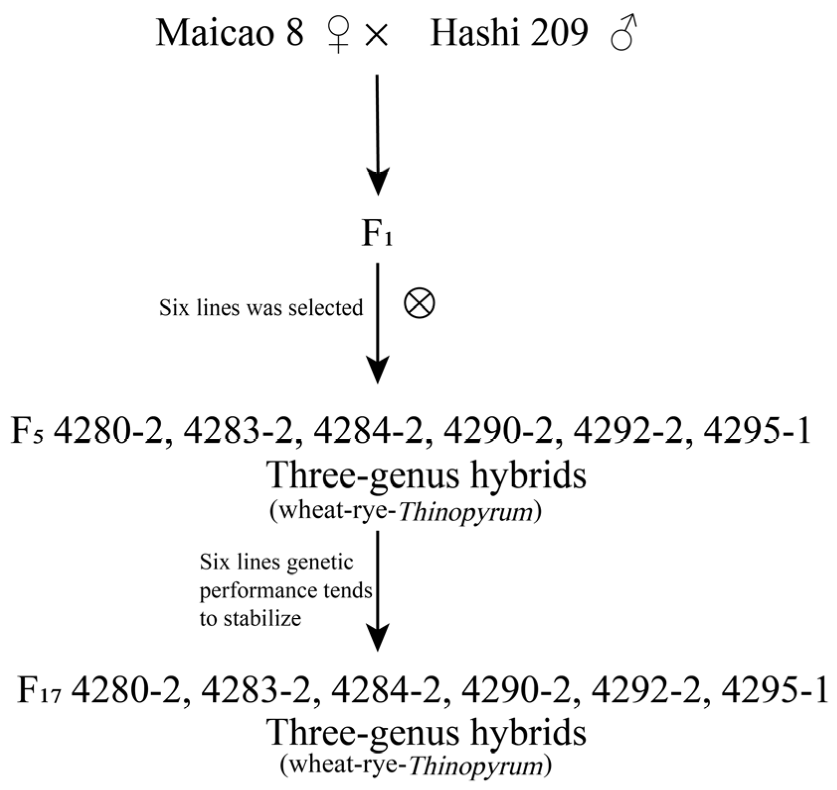 Agronomy 16 00336 g001
