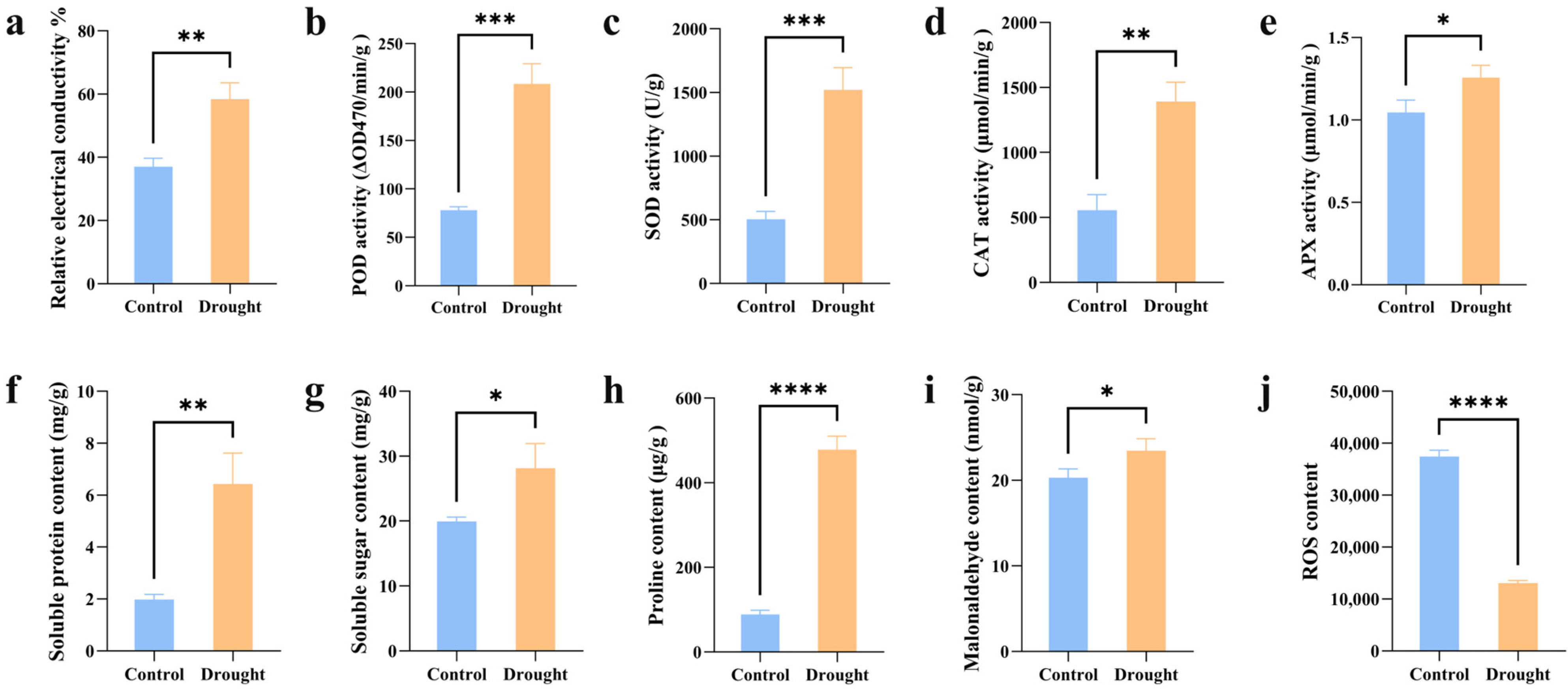 Agronomy 16 00337 g001 Agronomy 16 00337 g001