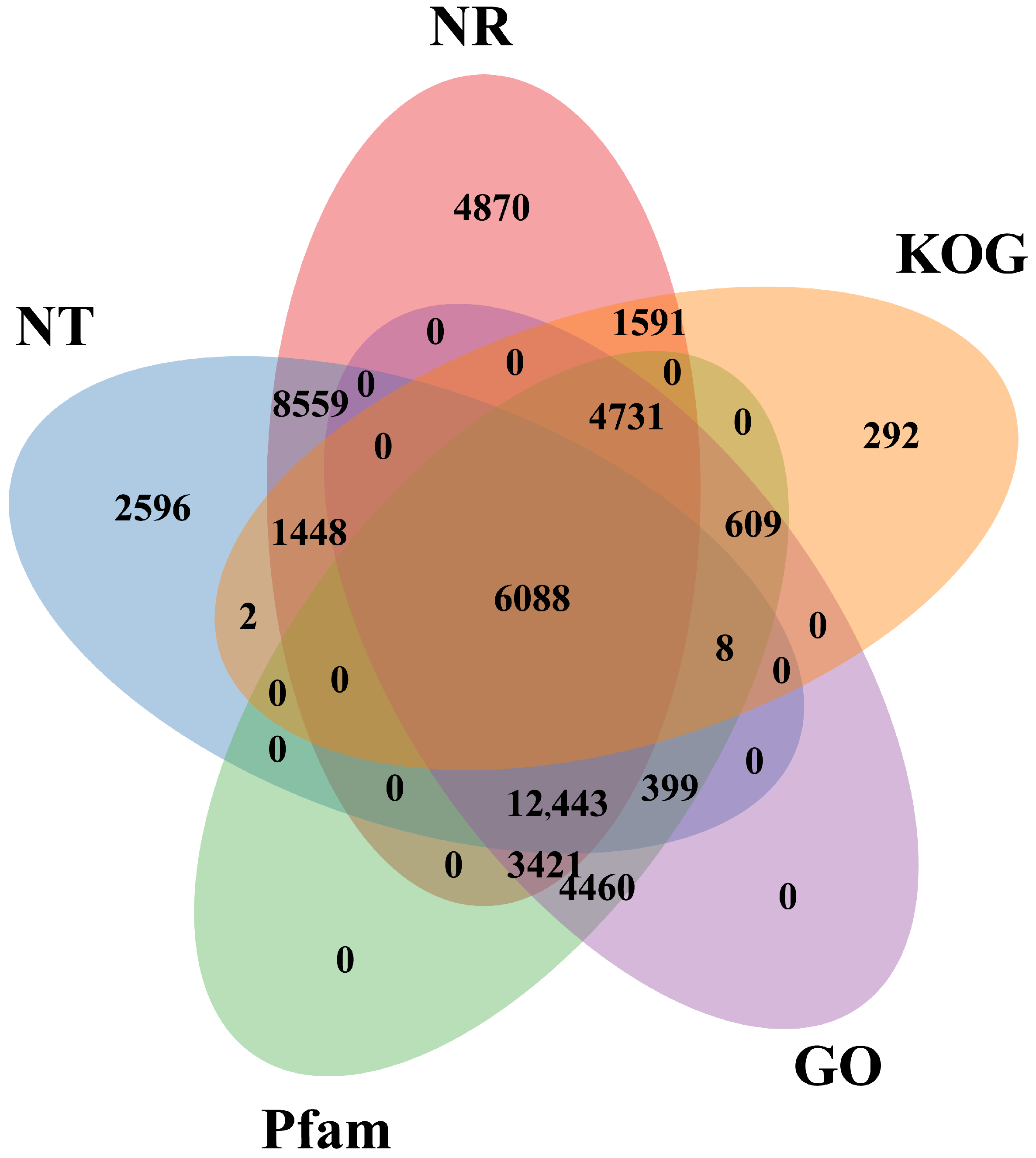 Agronomy 16 00337 g003 Agronomy 16 00337 g003