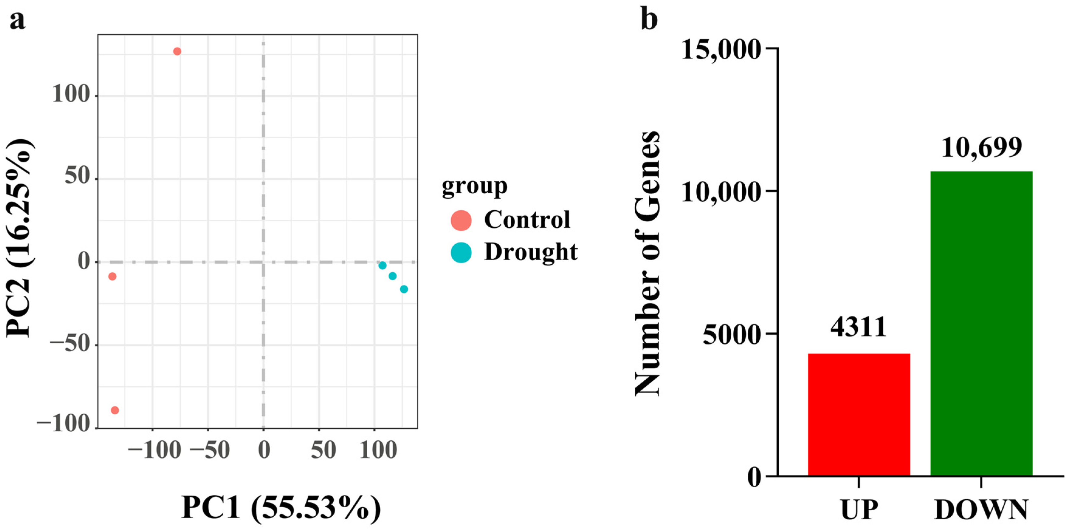 Agronomy 16 00337 g007 Agronomy 16 00337 g007