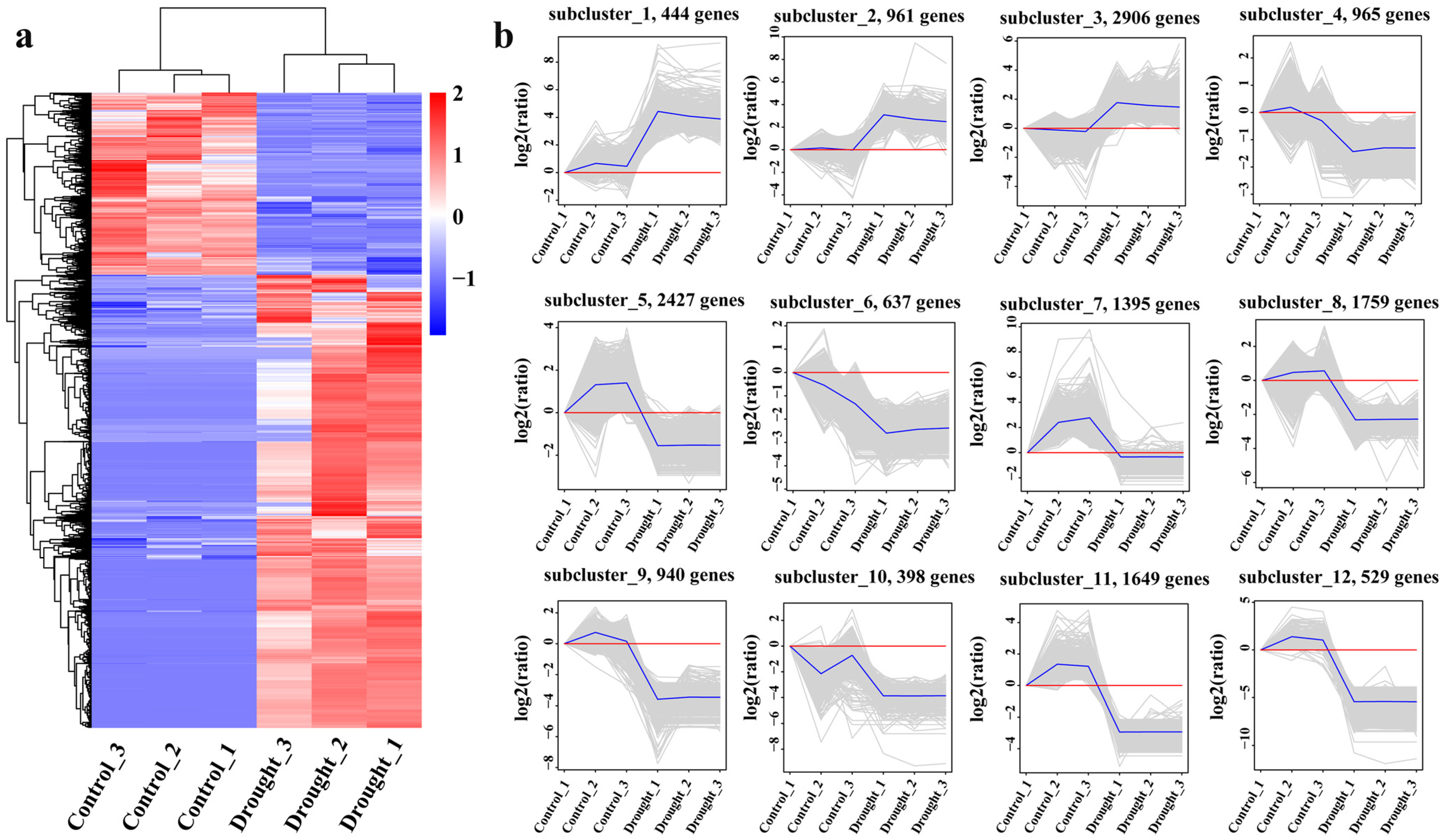 Agronomy 16 00337 g008 Agronomy 16 00337 g008