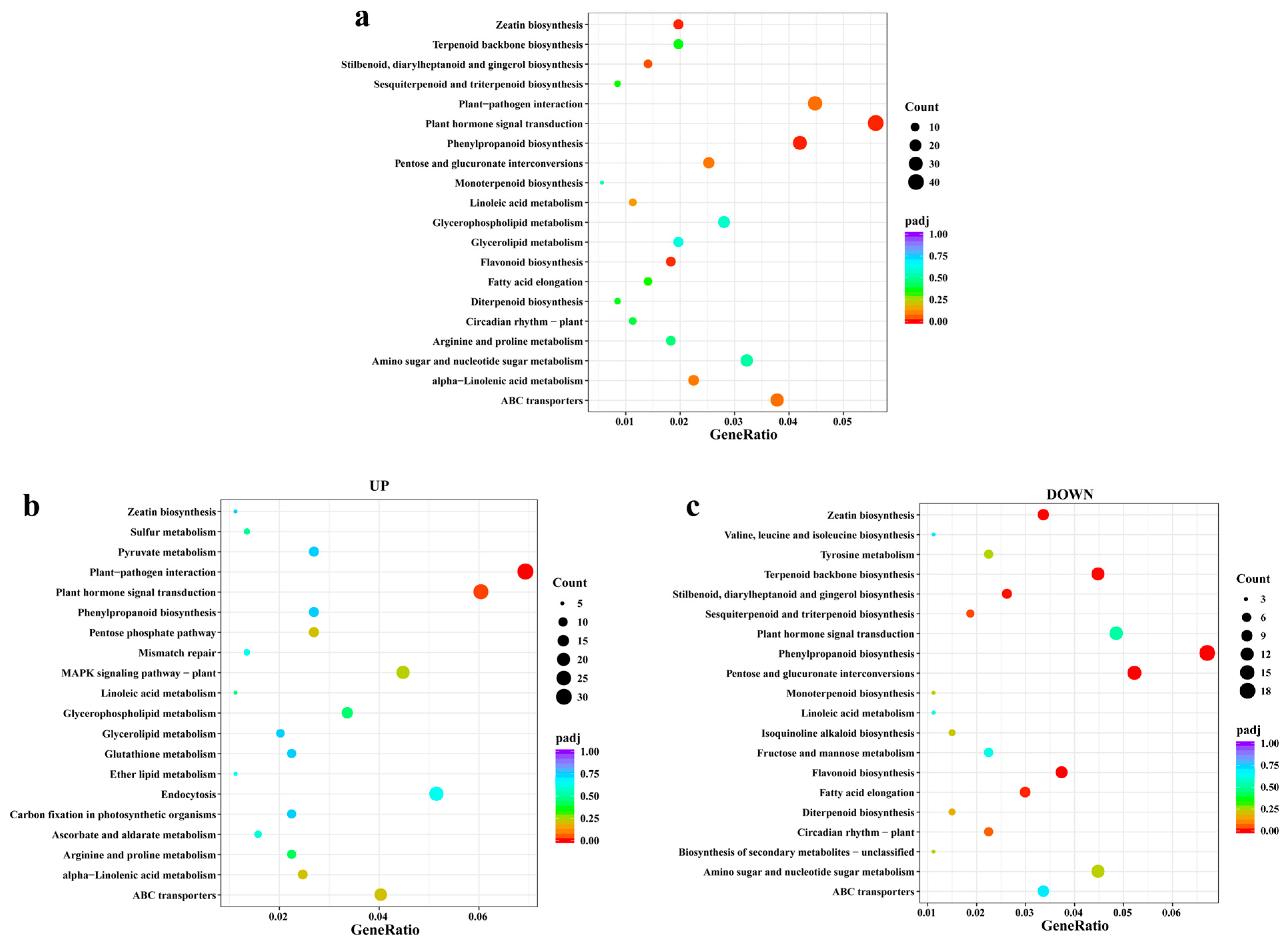 Agronomy 16 00337 g010 Agronomy 16 00337 g010