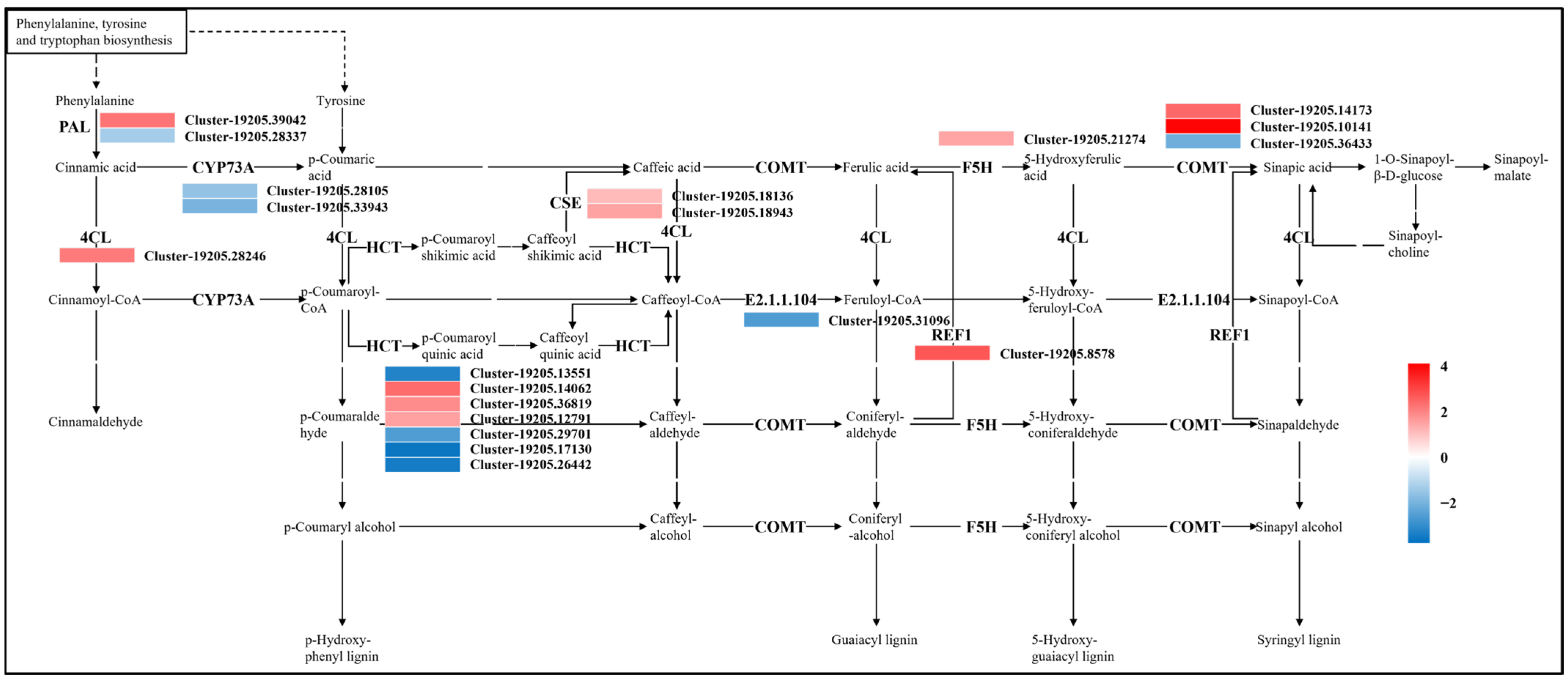 Agronomy 16 00337 g011 Agronomy 16 00337 g011