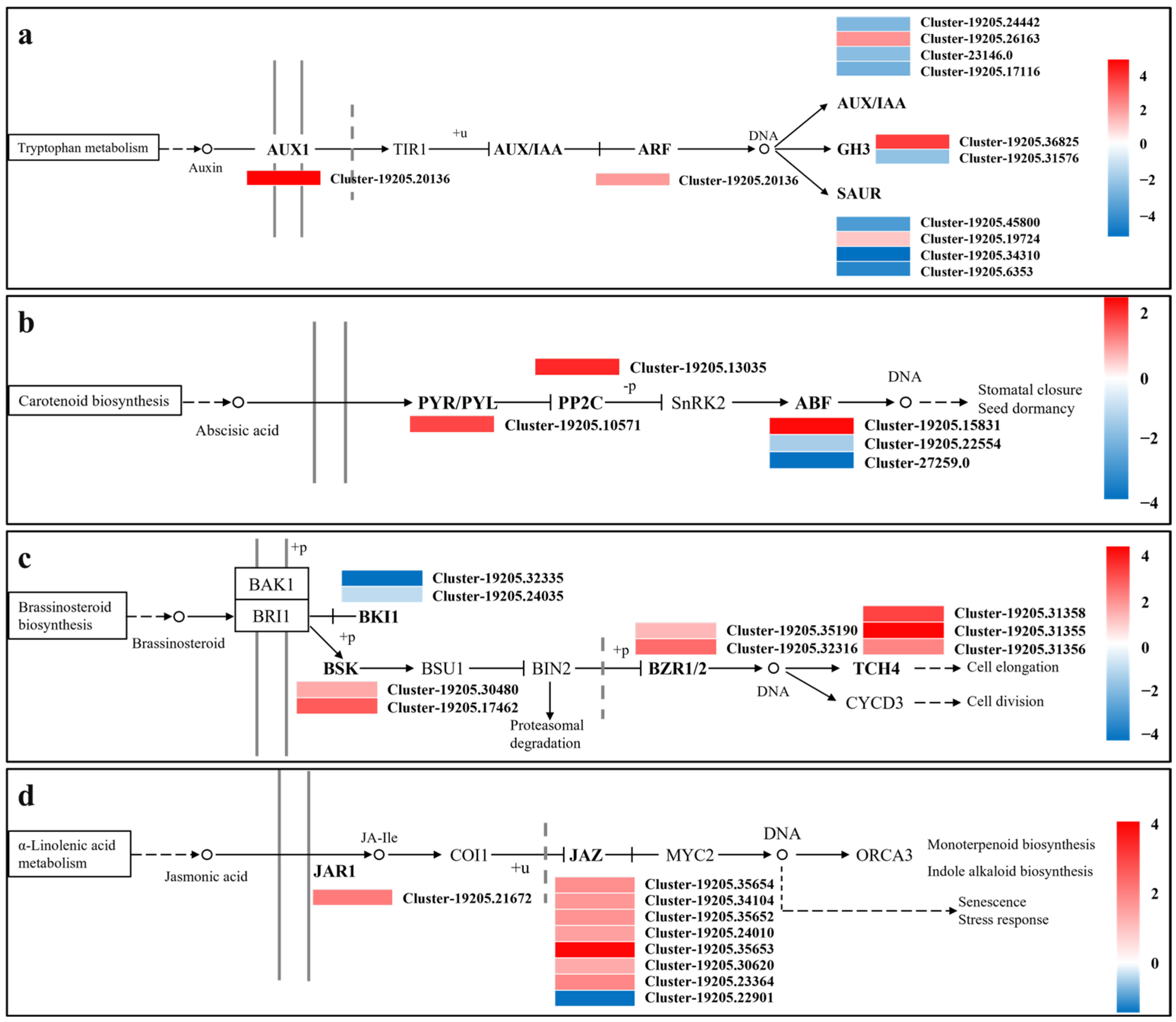 Agronomy 16 00337 g012 Agronomy 16 00337 g012