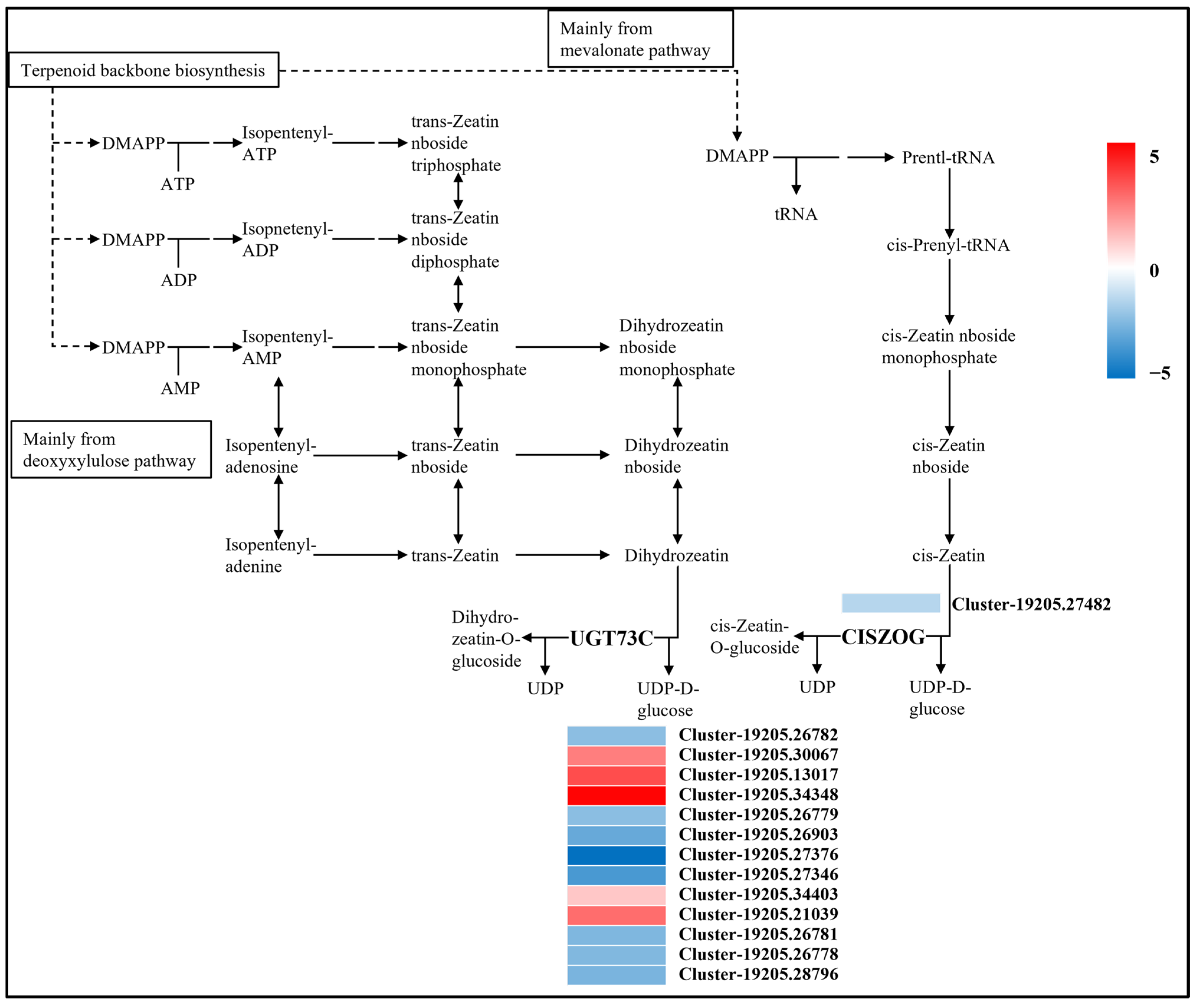Agronomy 16 00337 g013 Agronomy 16 00337 g013