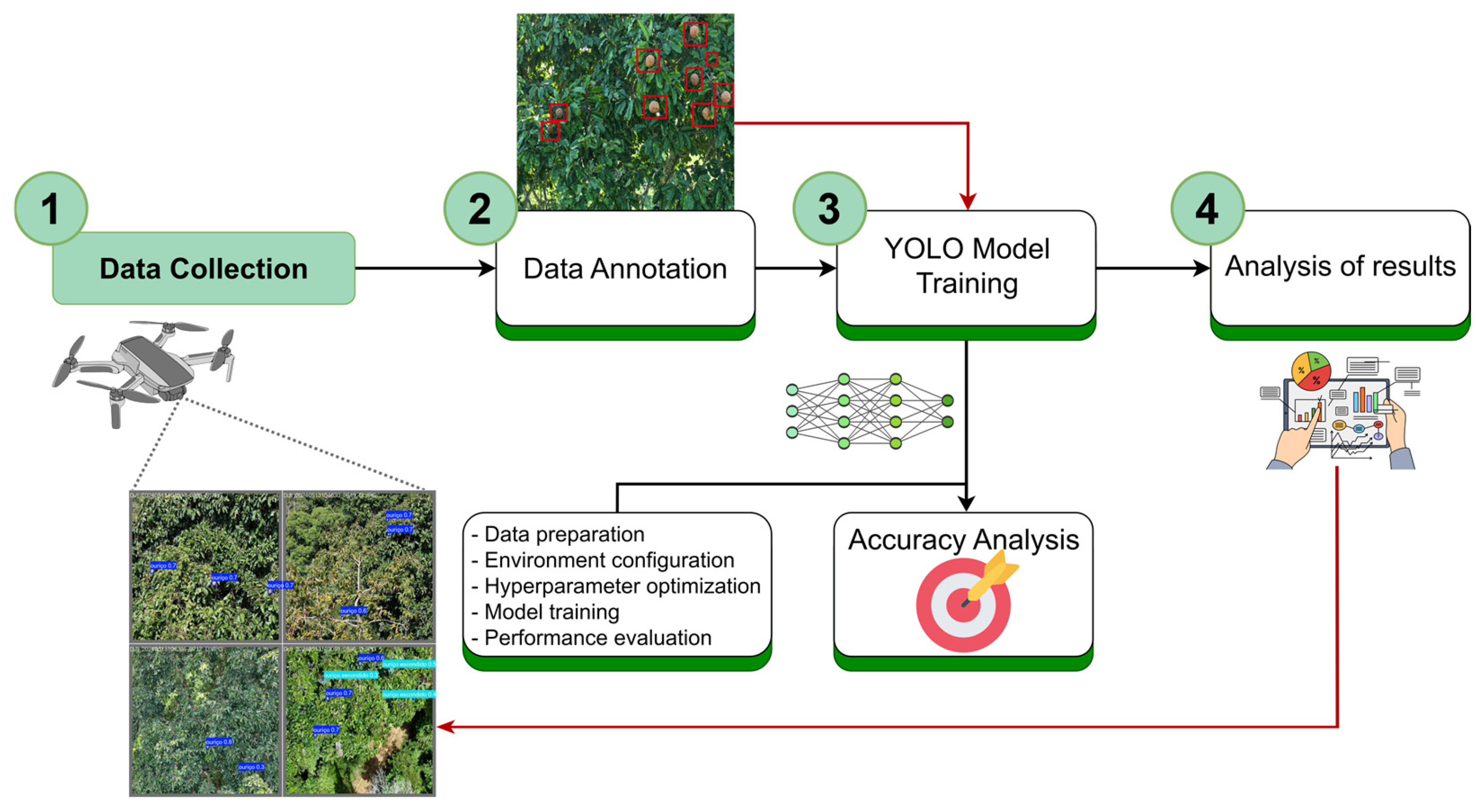 Agronomy 16 00341 g001