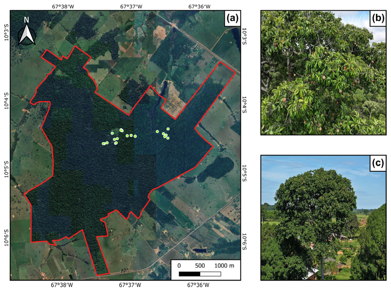Agronomy 16 00341 g003
