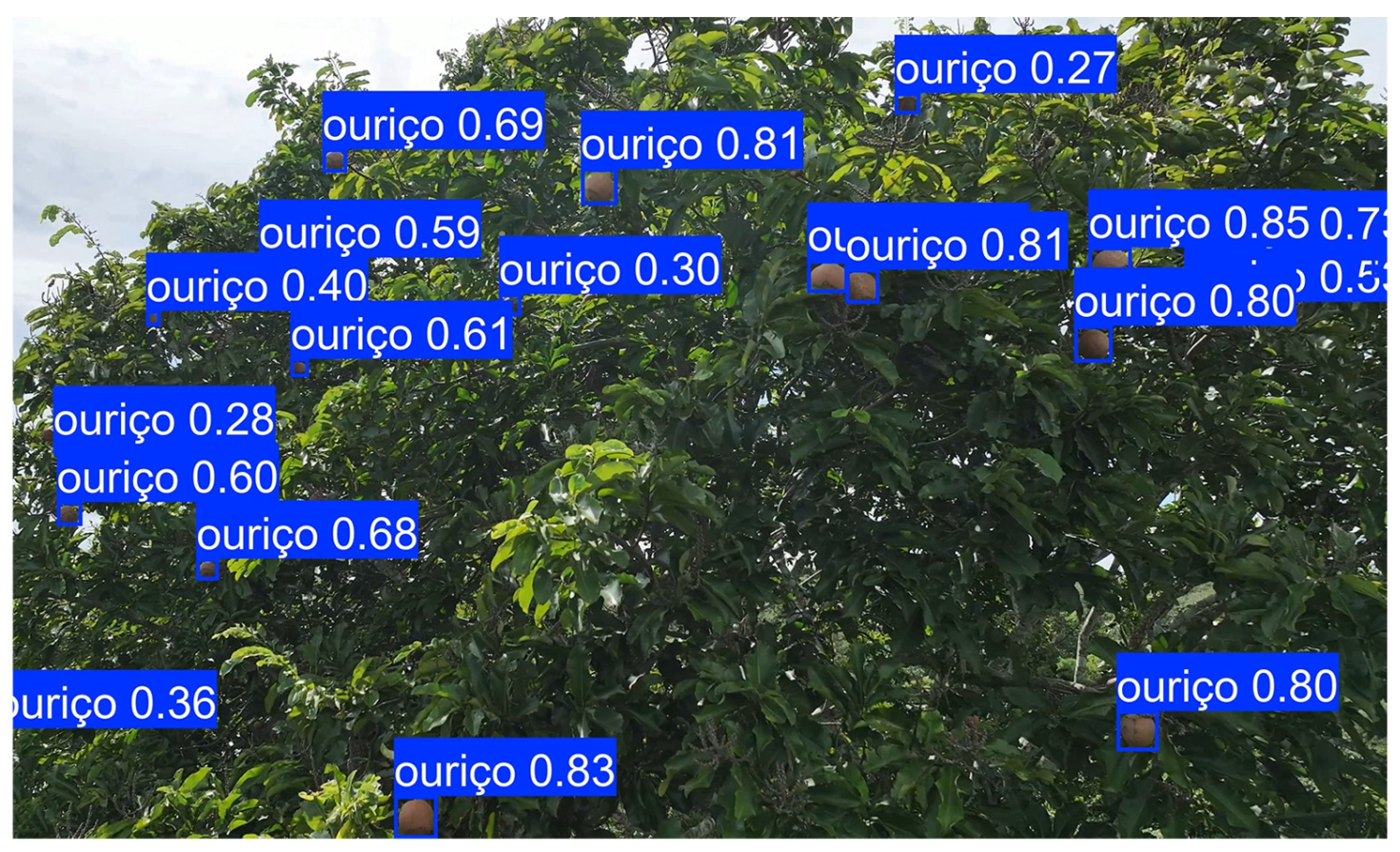 Agronomy 16 00341 g009a