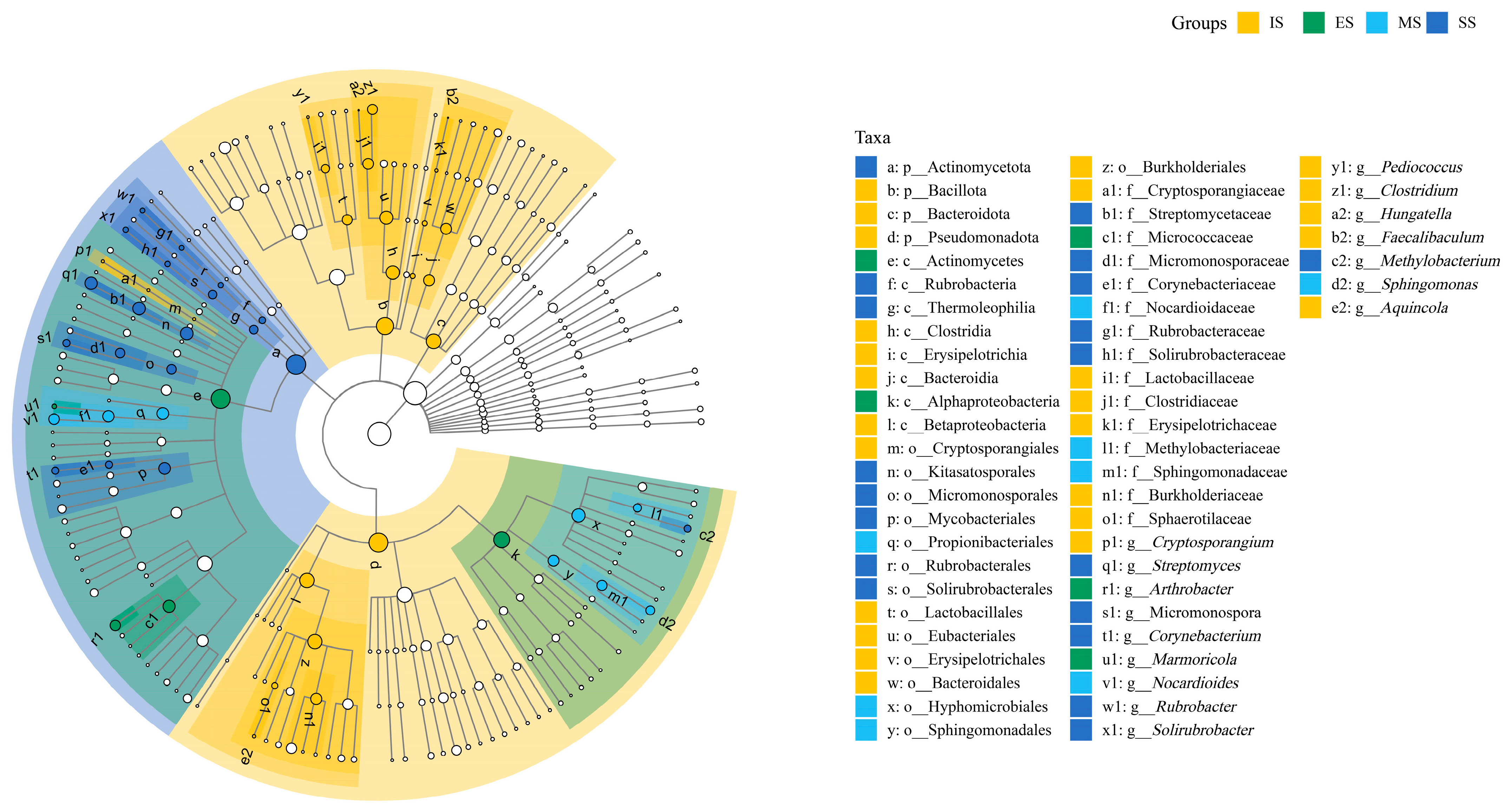 Agronomy 16 00342 g006