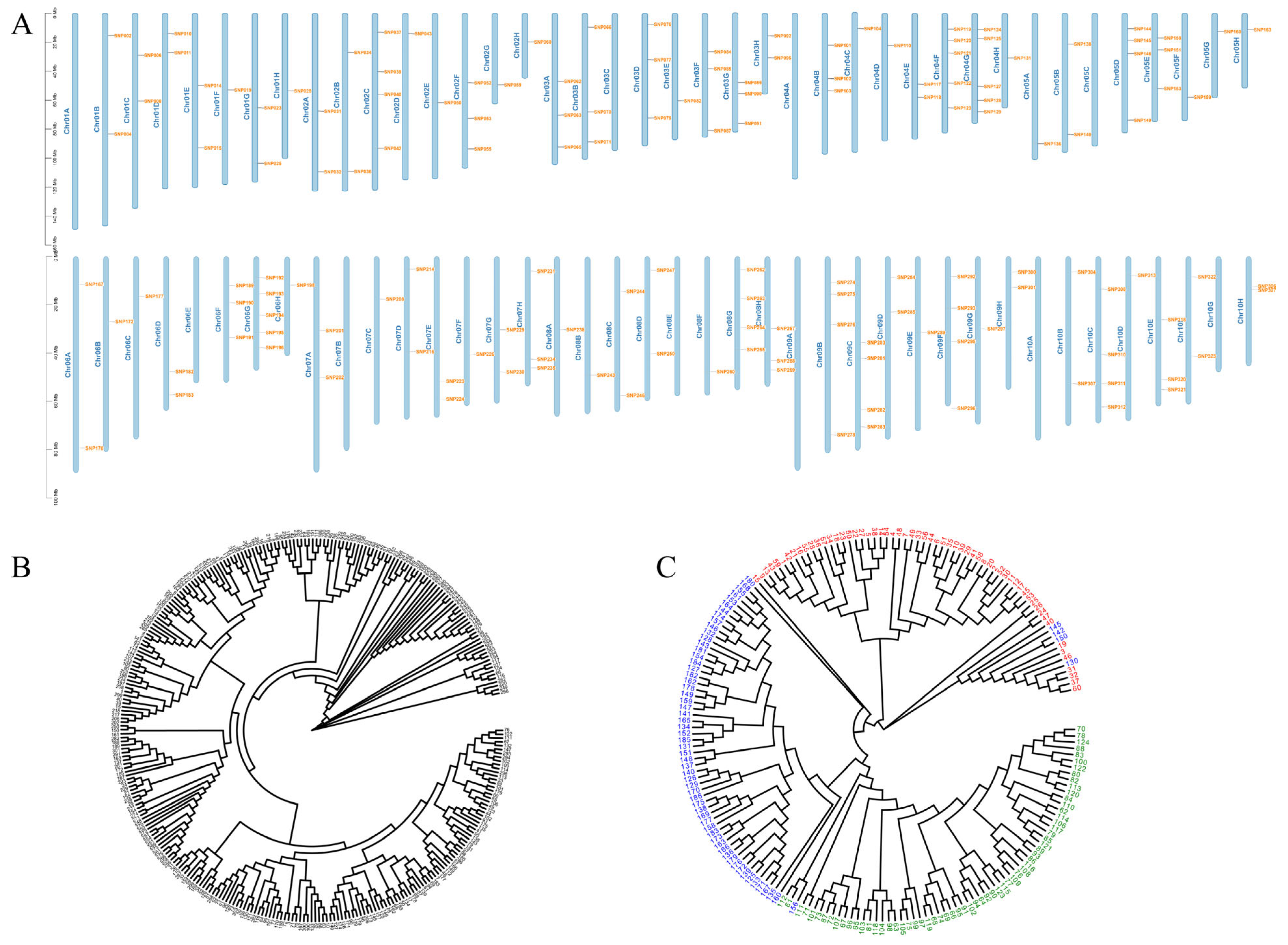 Agronomy 16 00343 g004