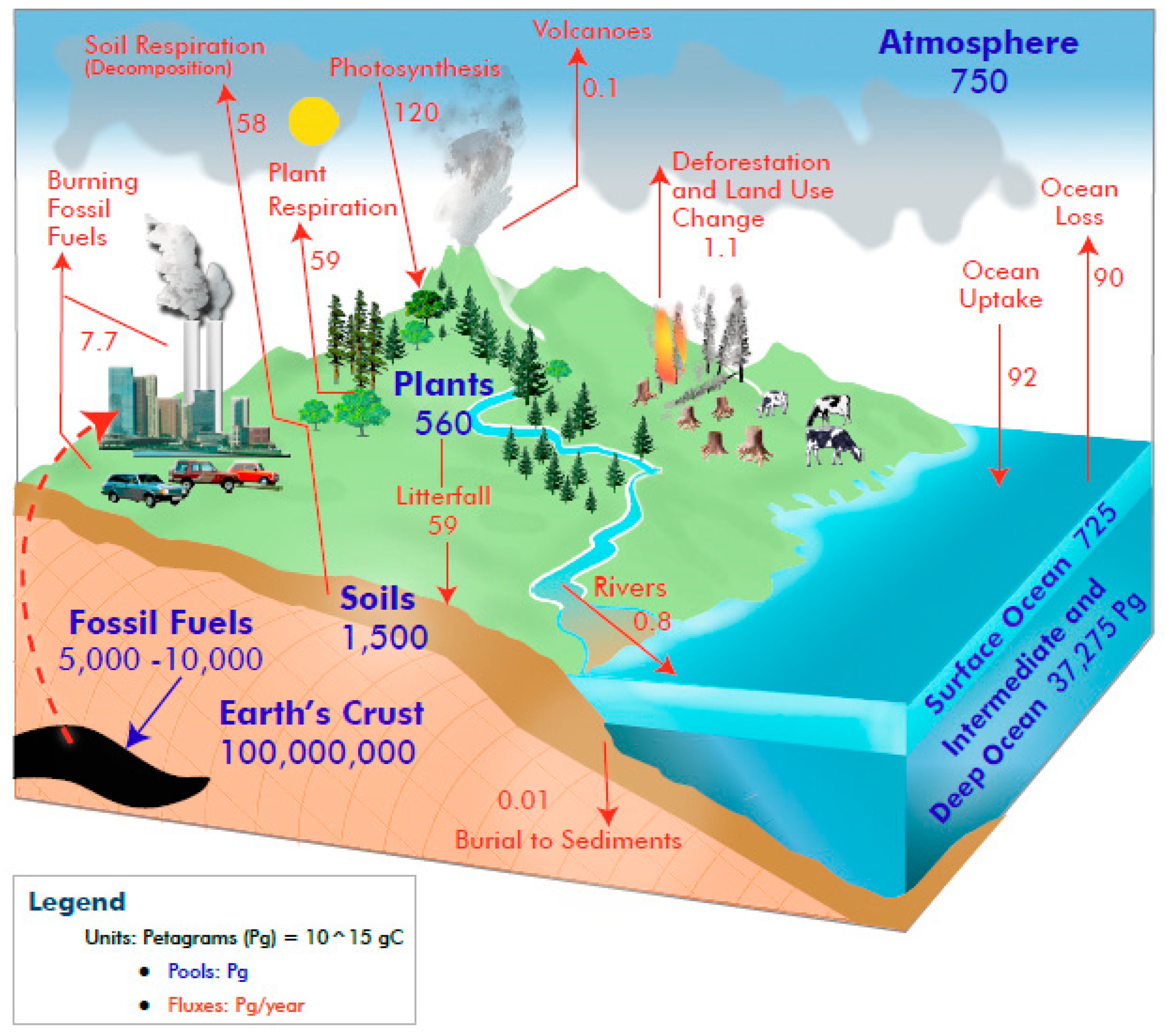 Agronomy 16 00360 g001 Agronomy 16 00360 g001