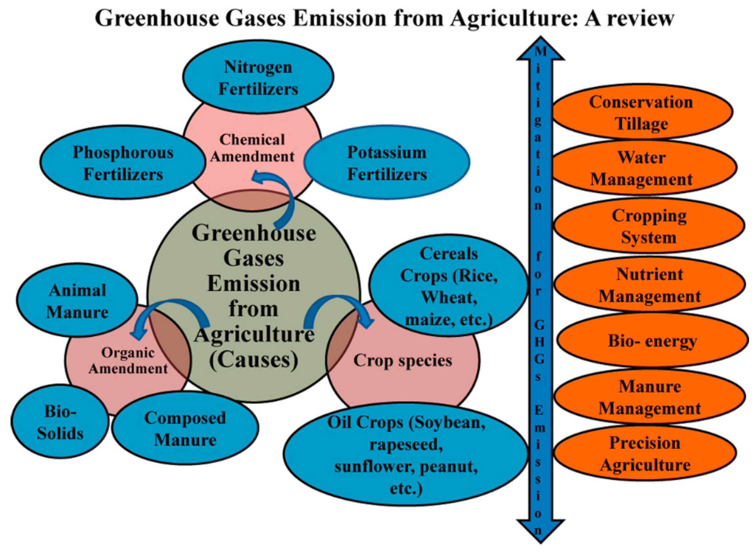Agronomy 16 00360 g009 Agronomy 16 00360 g009