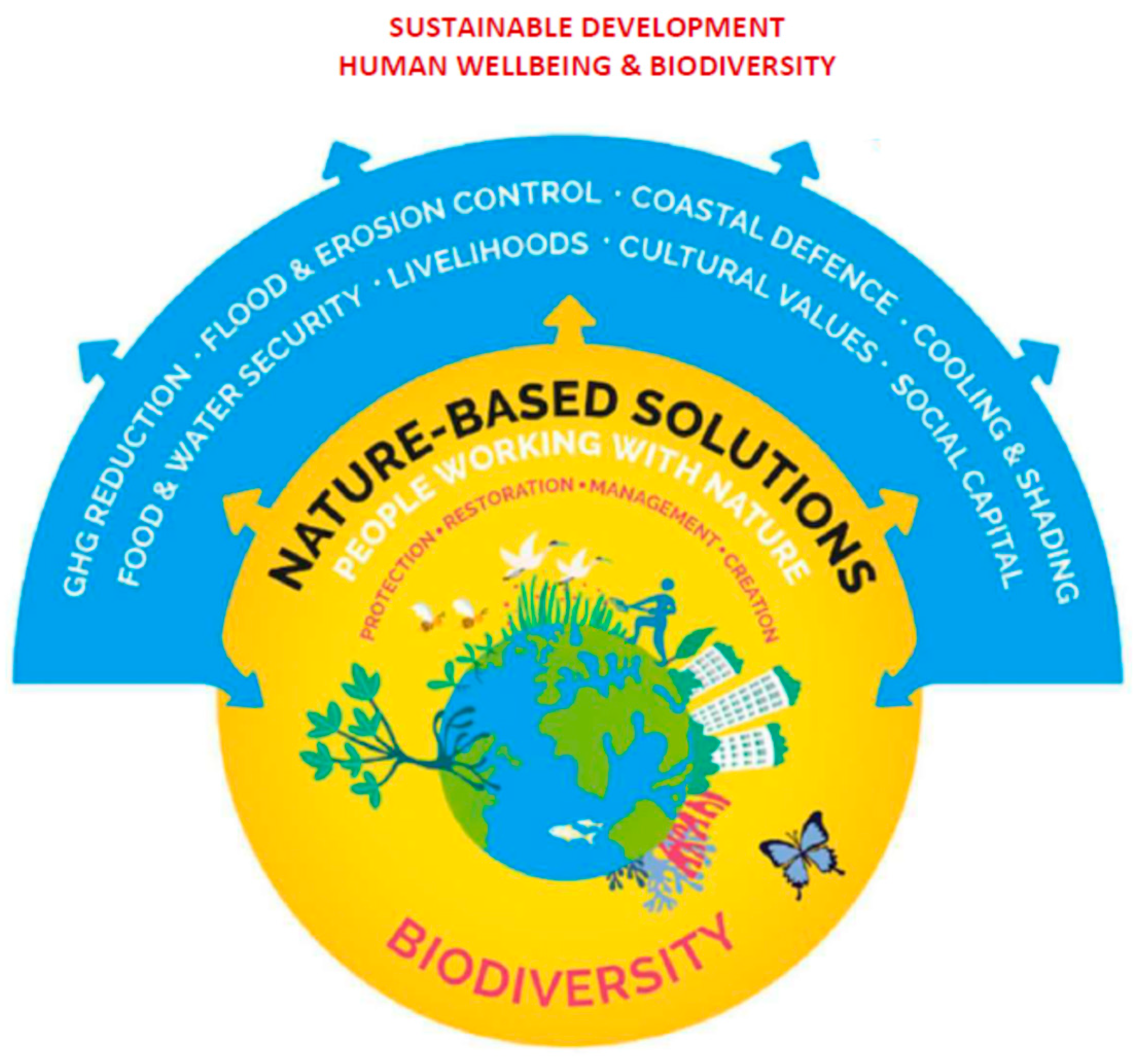 Agronomy 16 00360 g011 Agronomy 16 00360 g011