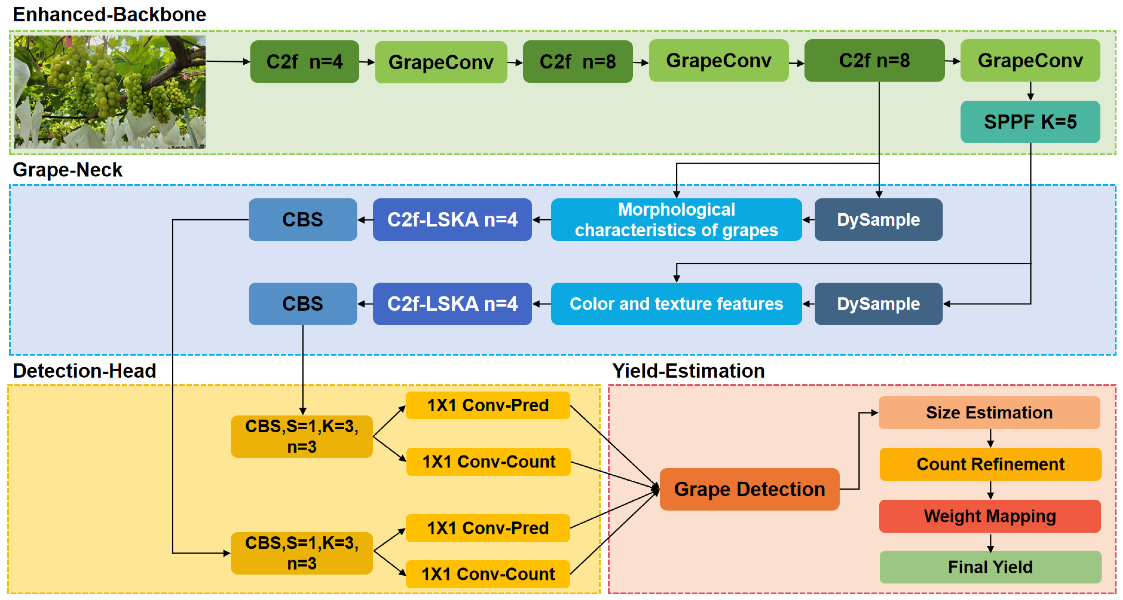 Agronomy 16 00370 g004