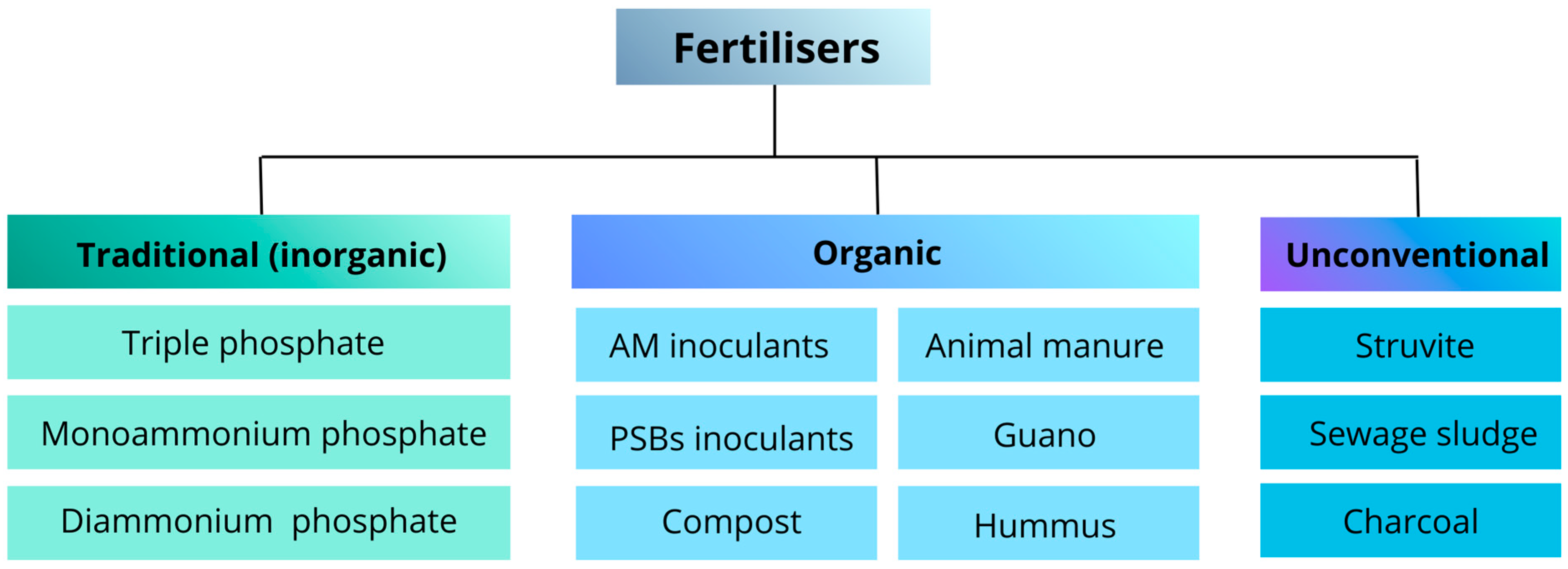 Agronomy 16 00388 g002