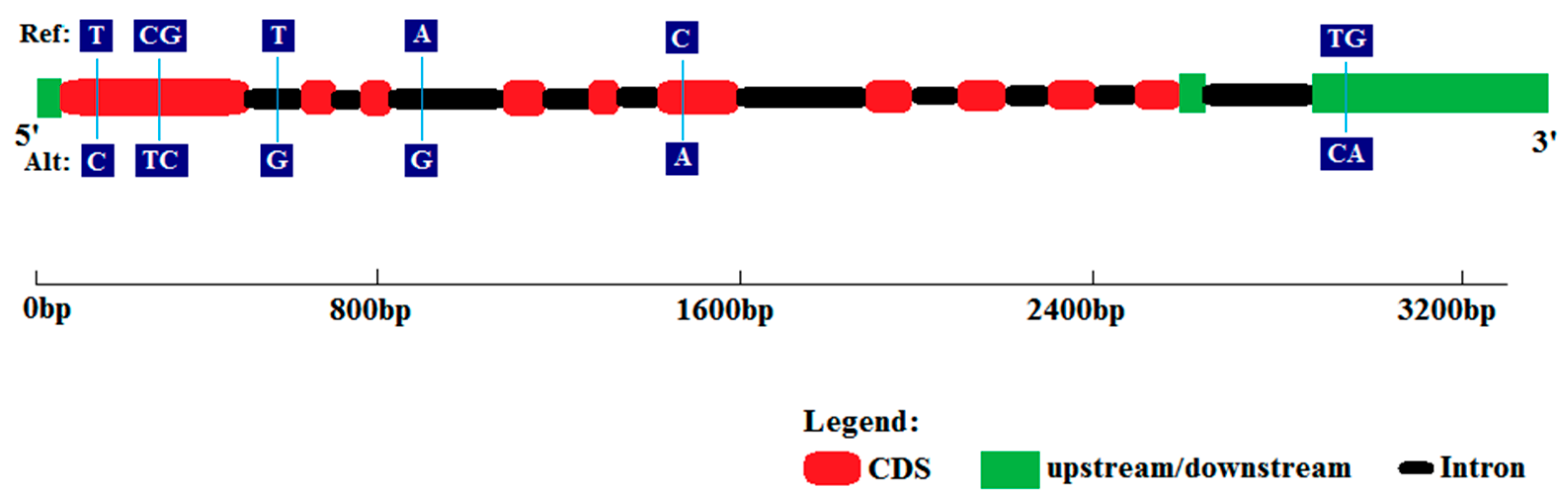 Agronomy 16 00393 g005