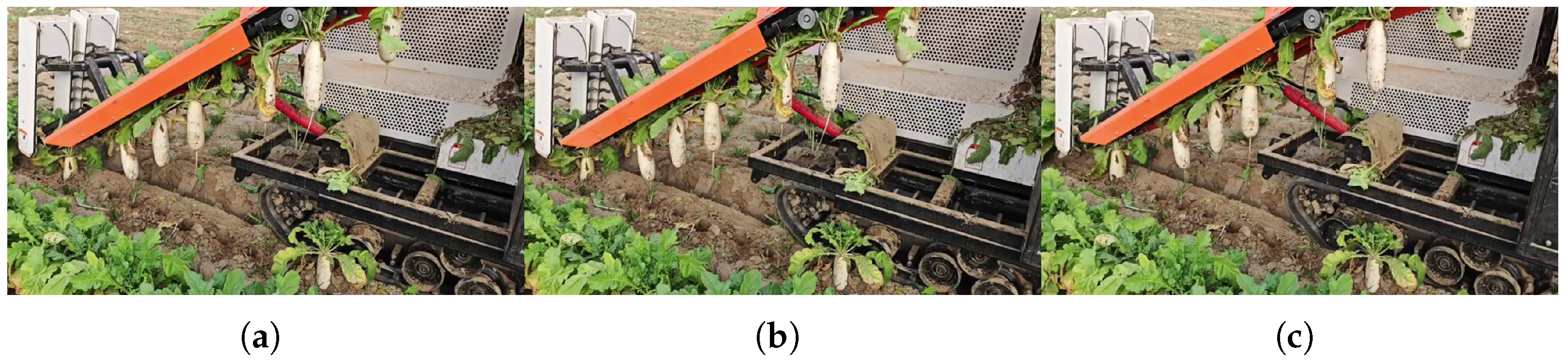 Agronomy 16 00419 g007