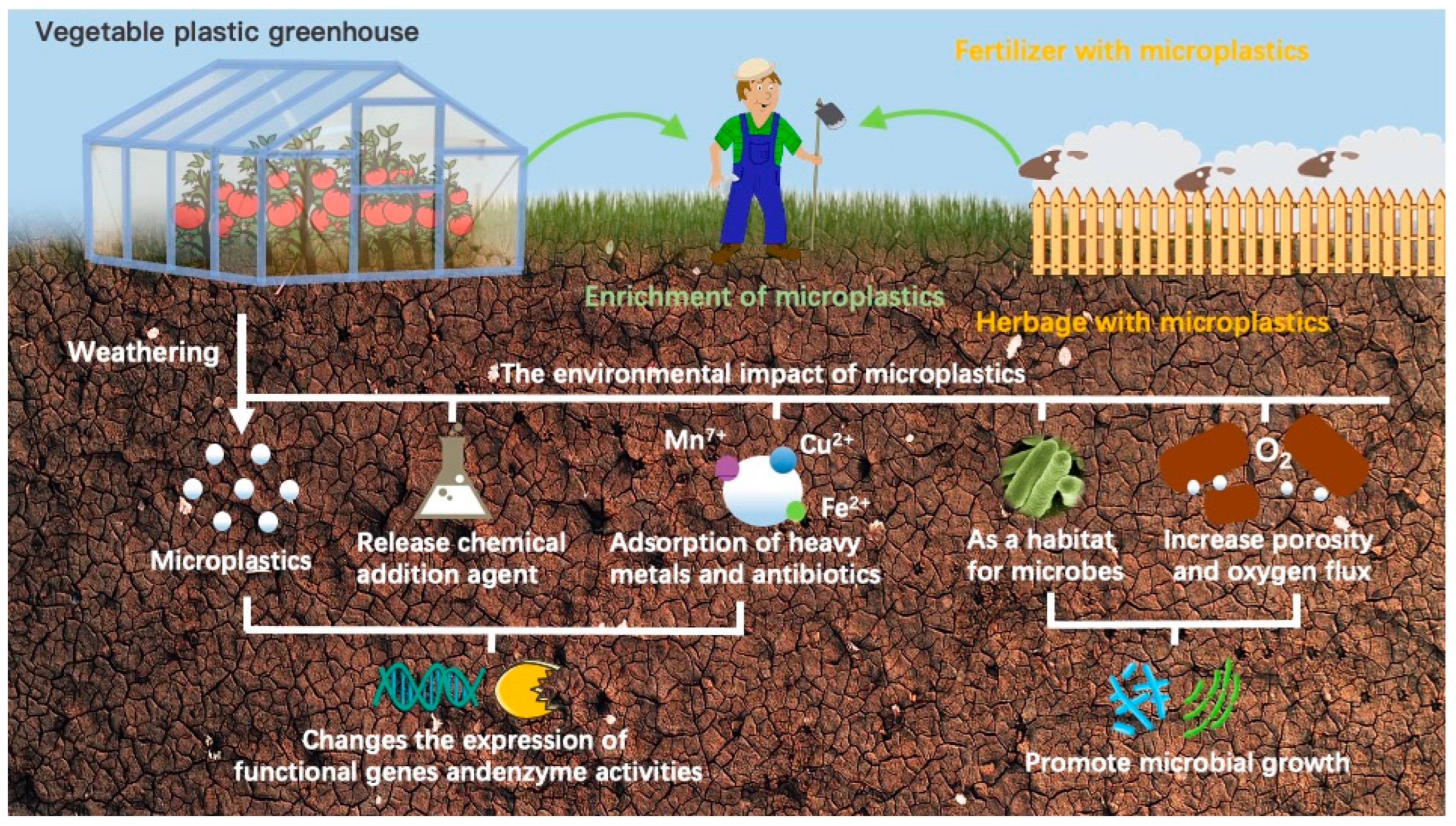 Agronomy 16 00466 g002