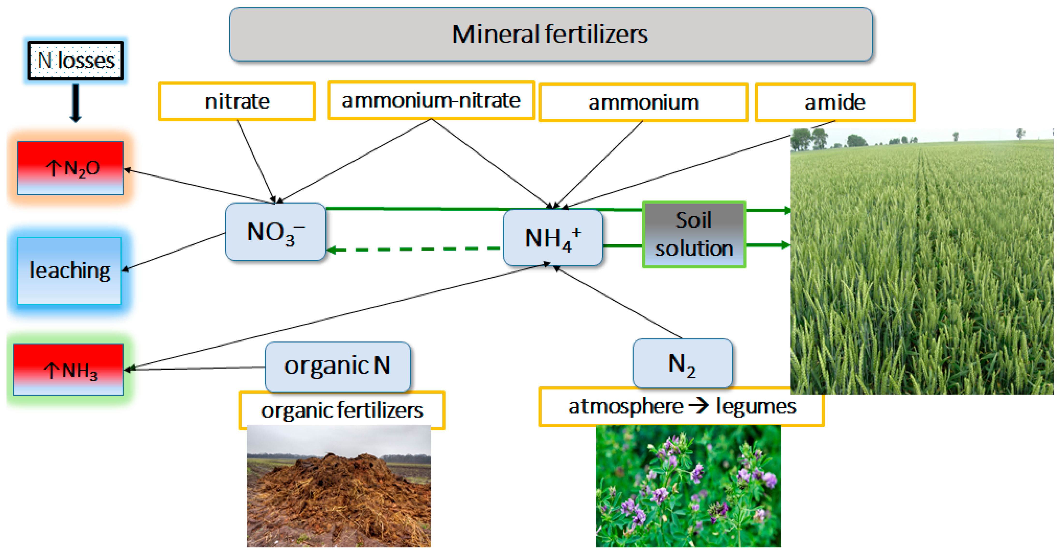 Agronomy 16 00483 g004 Agronomy 16 00483 g004
