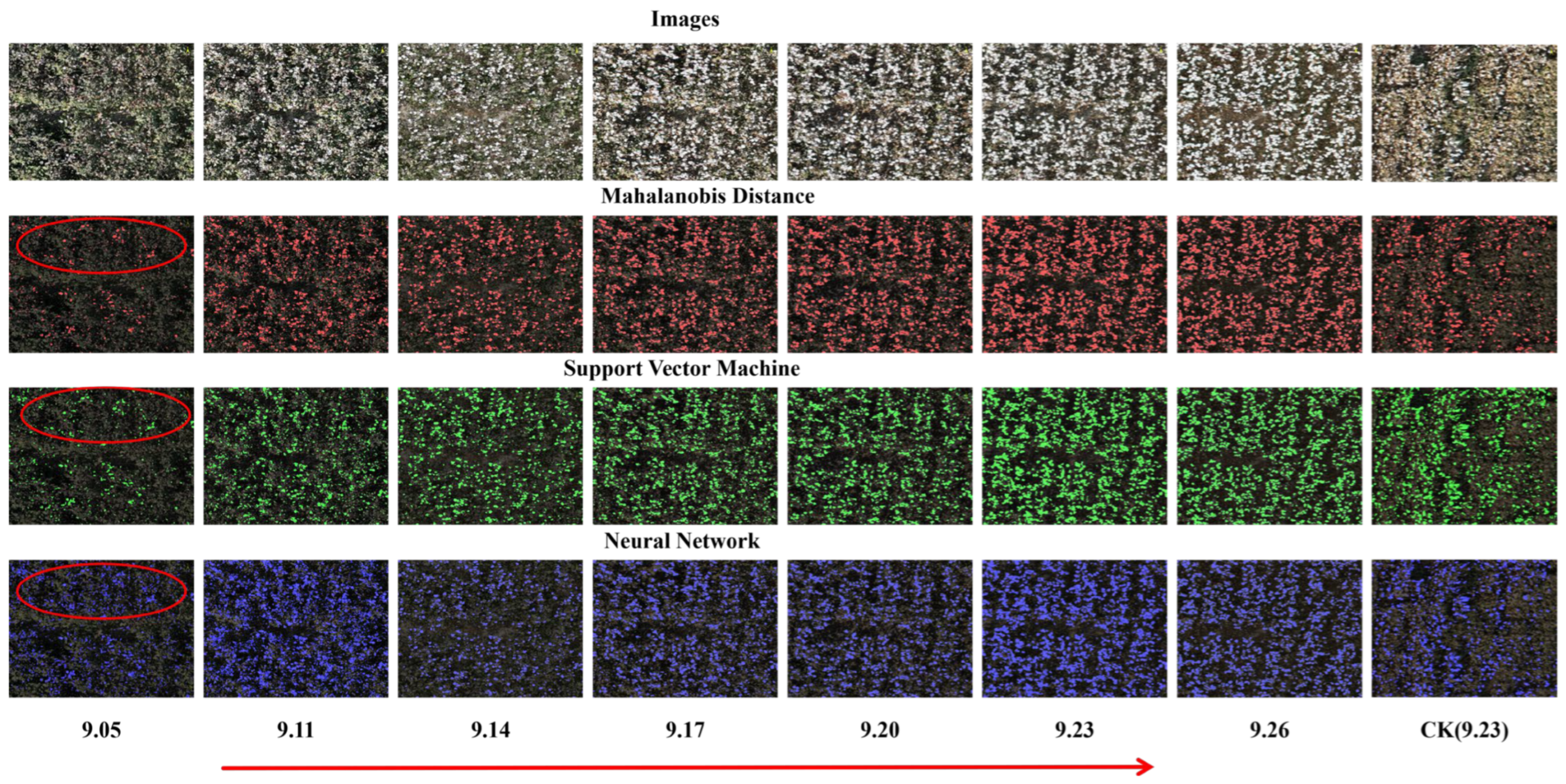 Agronomy 16 00617 g003 Agronomy 16 00617 g003