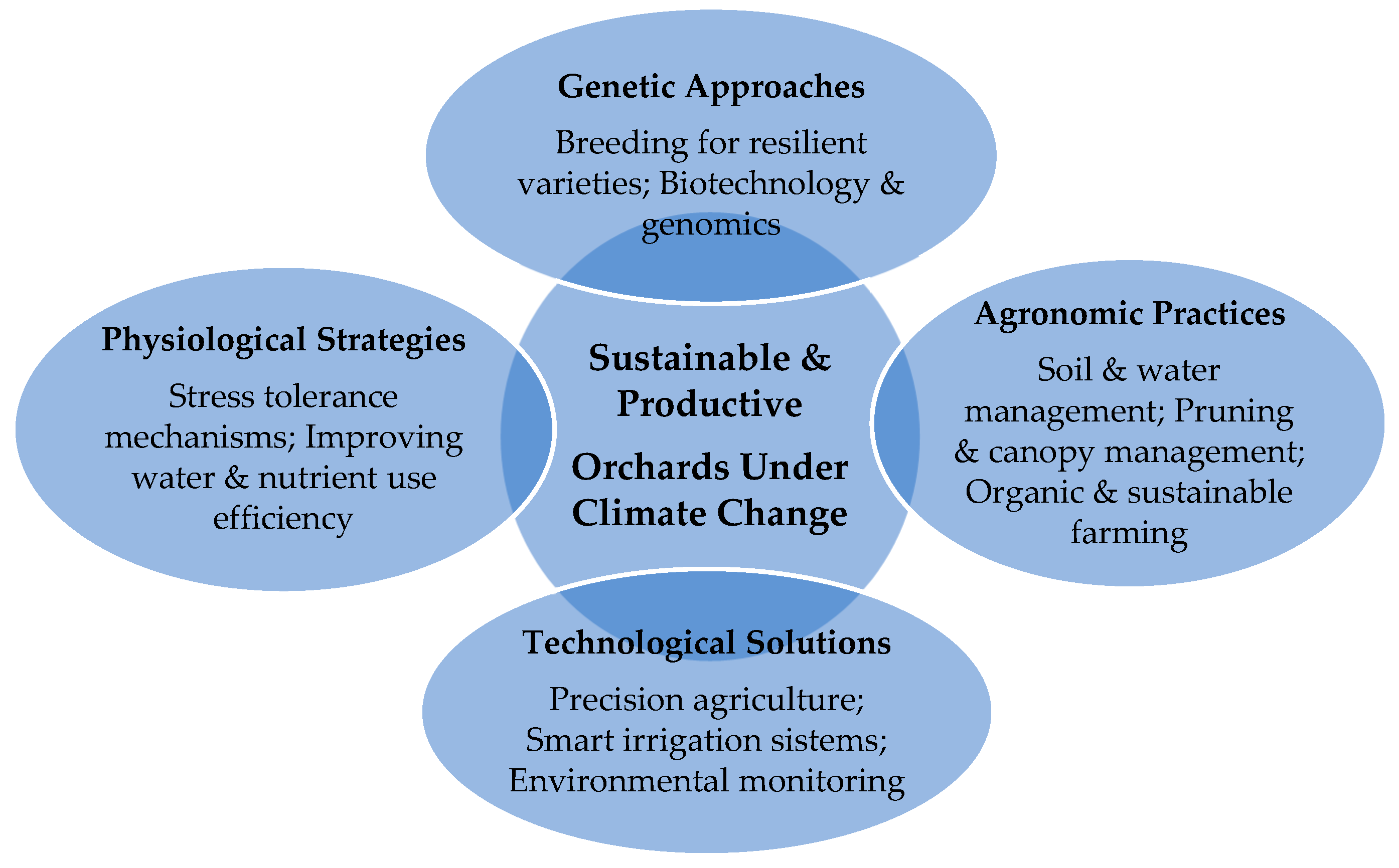 Agronomy 16 00665 g003