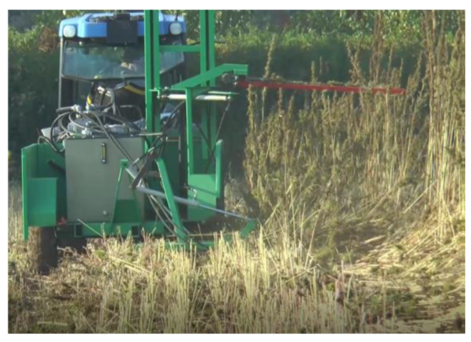 Agronomy 16 00677 g006