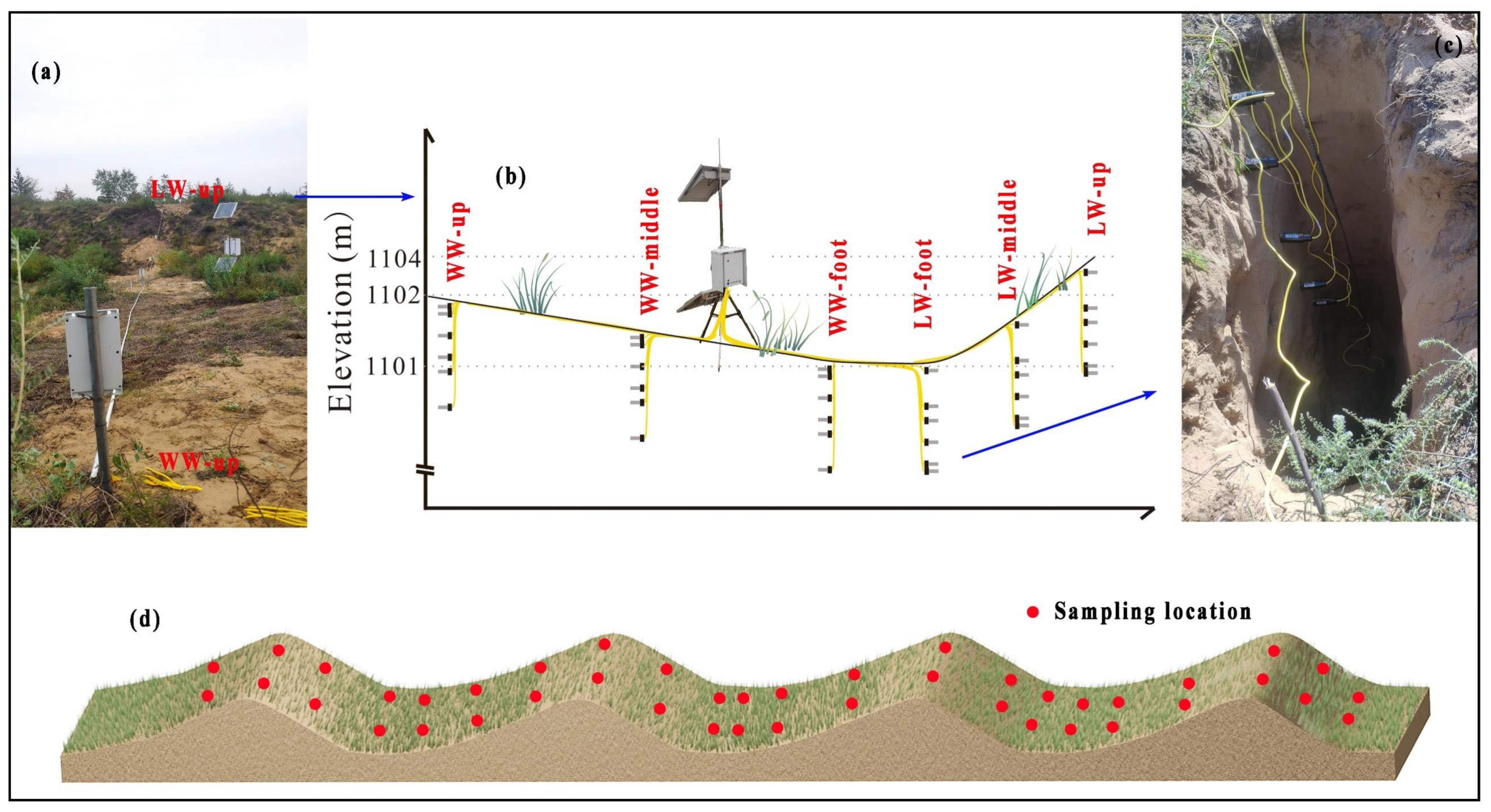 Agronomy 16 00692 g001 Agronomy 16 00692 g001