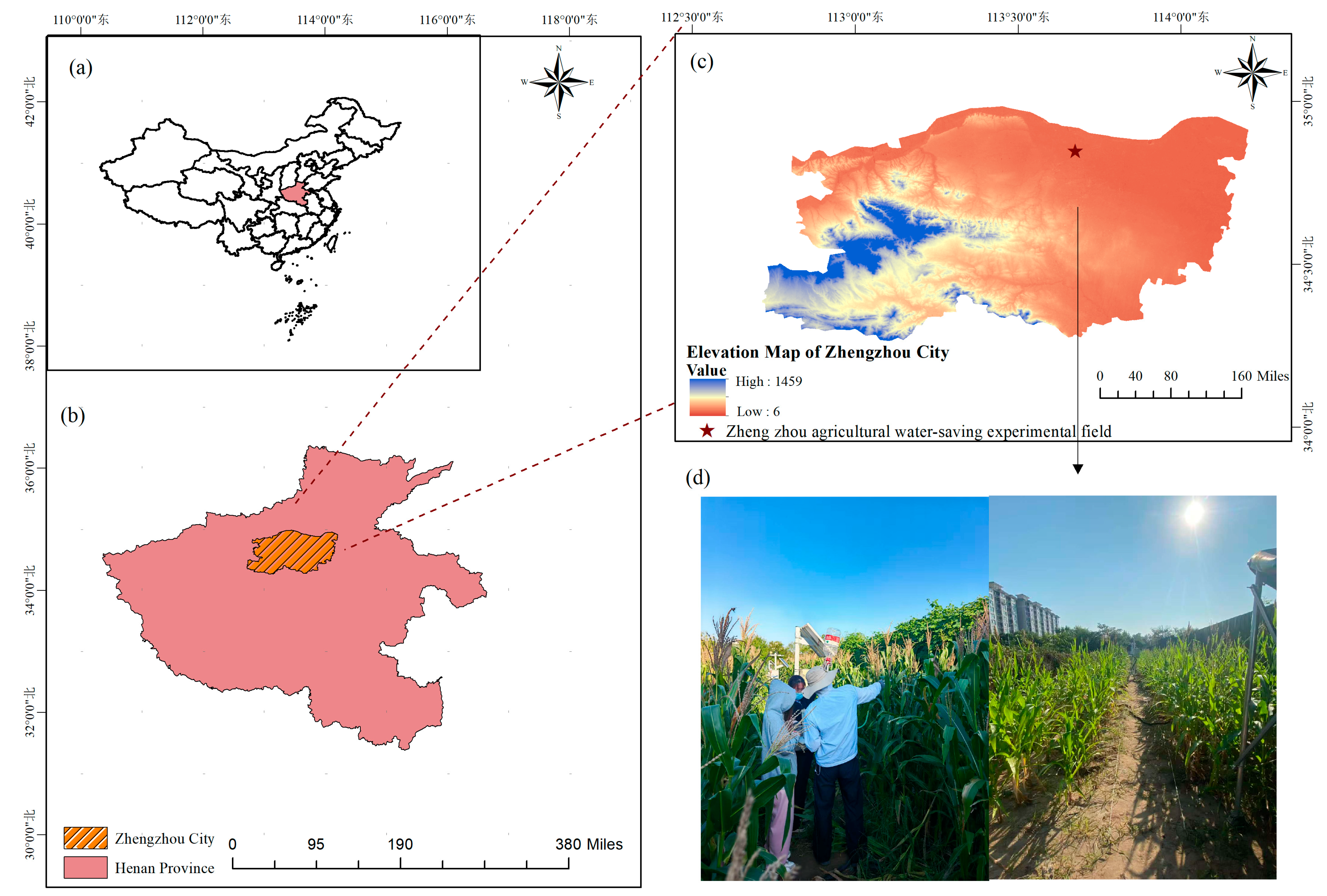 Agronomy 16 00746 g001 Agronomy 16 00746 g001