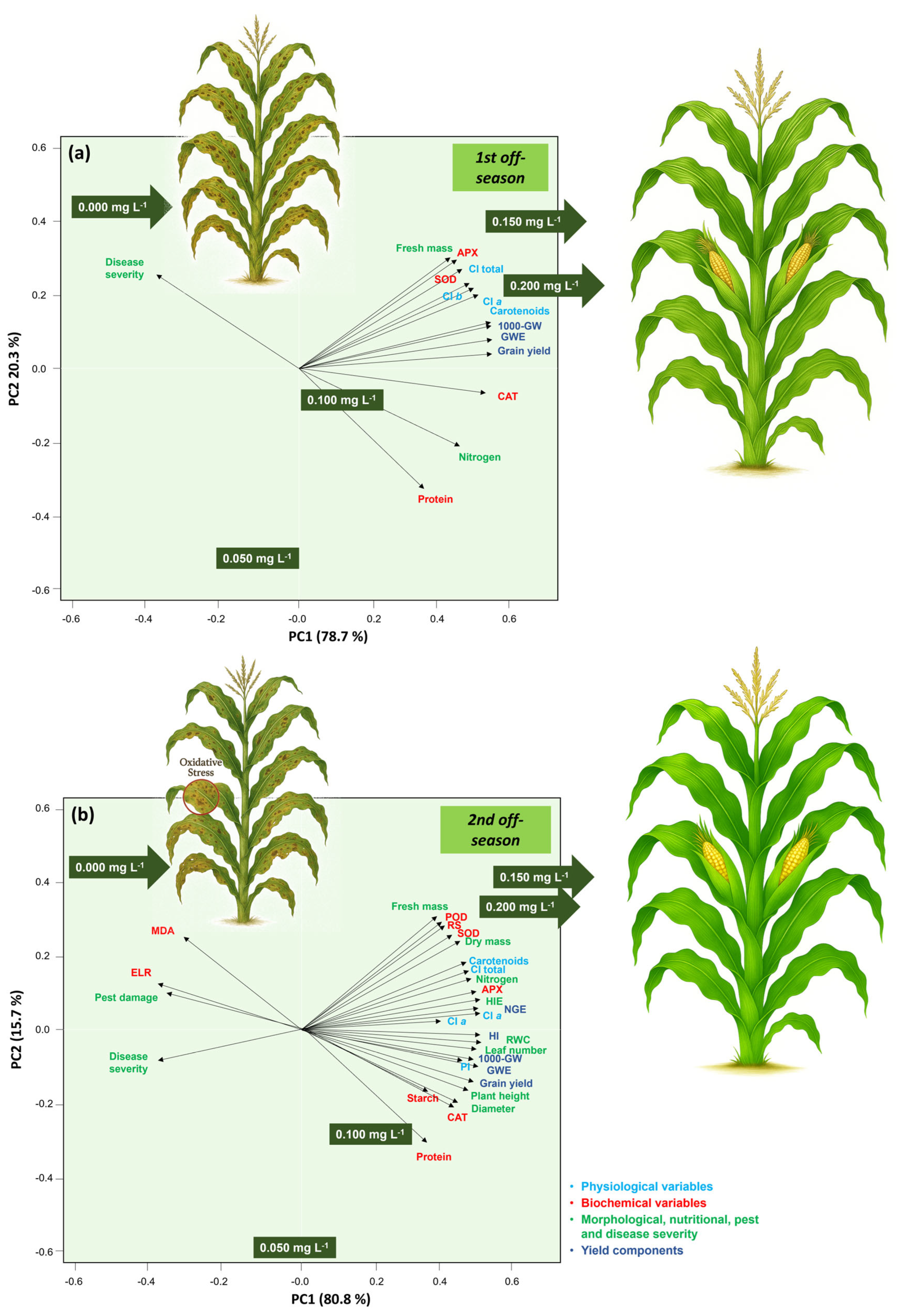 Agronomy 16 00757 g012