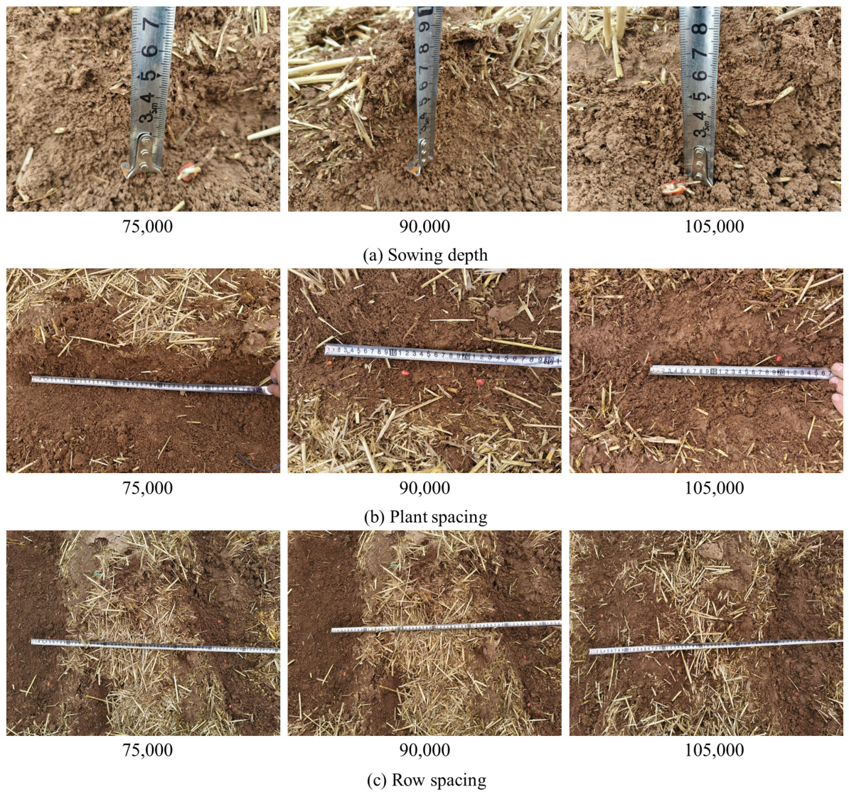 Agronomy 16 00860 g011 Agronomy 16 00860 g011