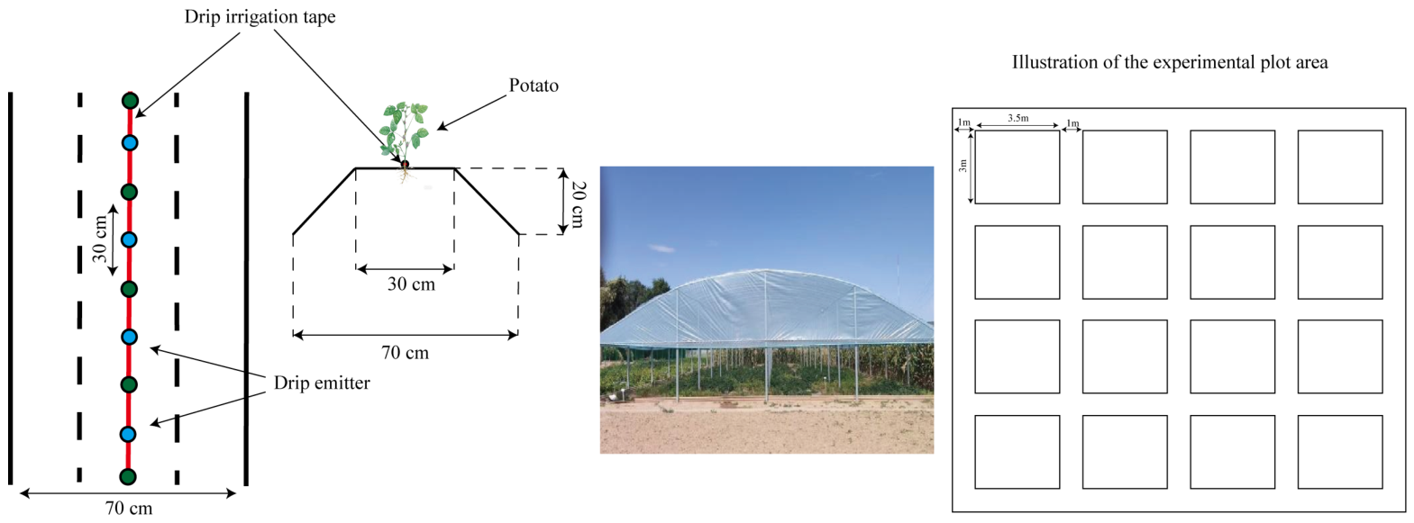 Agronomy 16 00866 g002 Agronomy 16 00866 g002