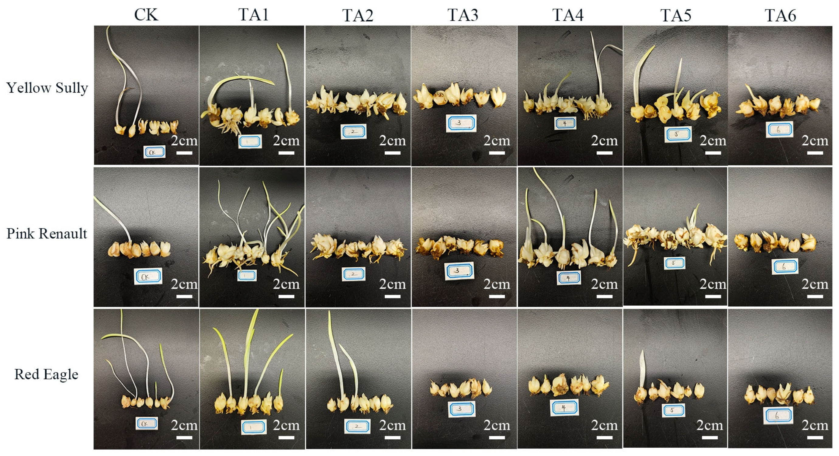 Agronomy 16 00940 g005