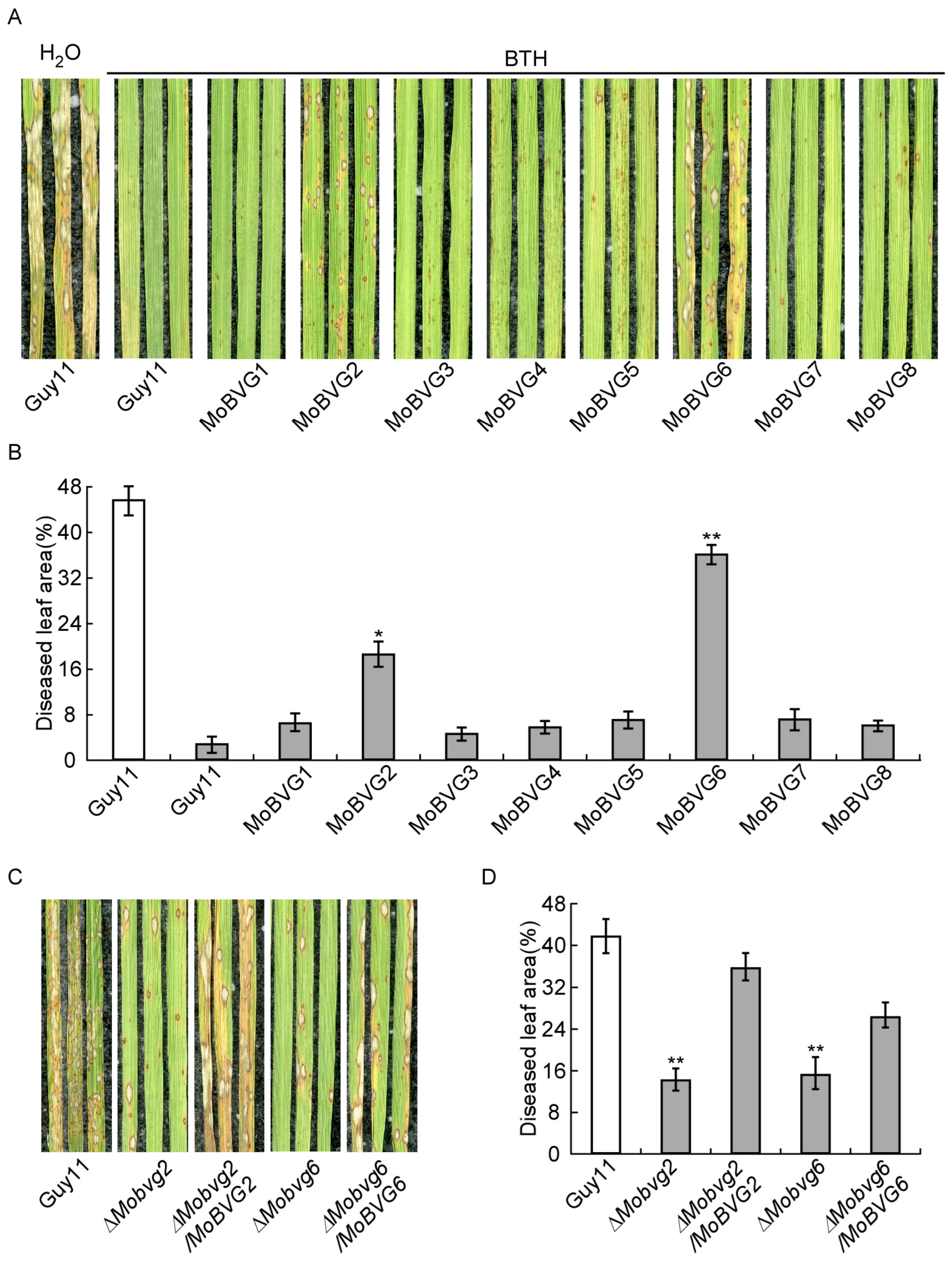 Agronomy 16 00962 g006 Agronomy 16 00962 g006