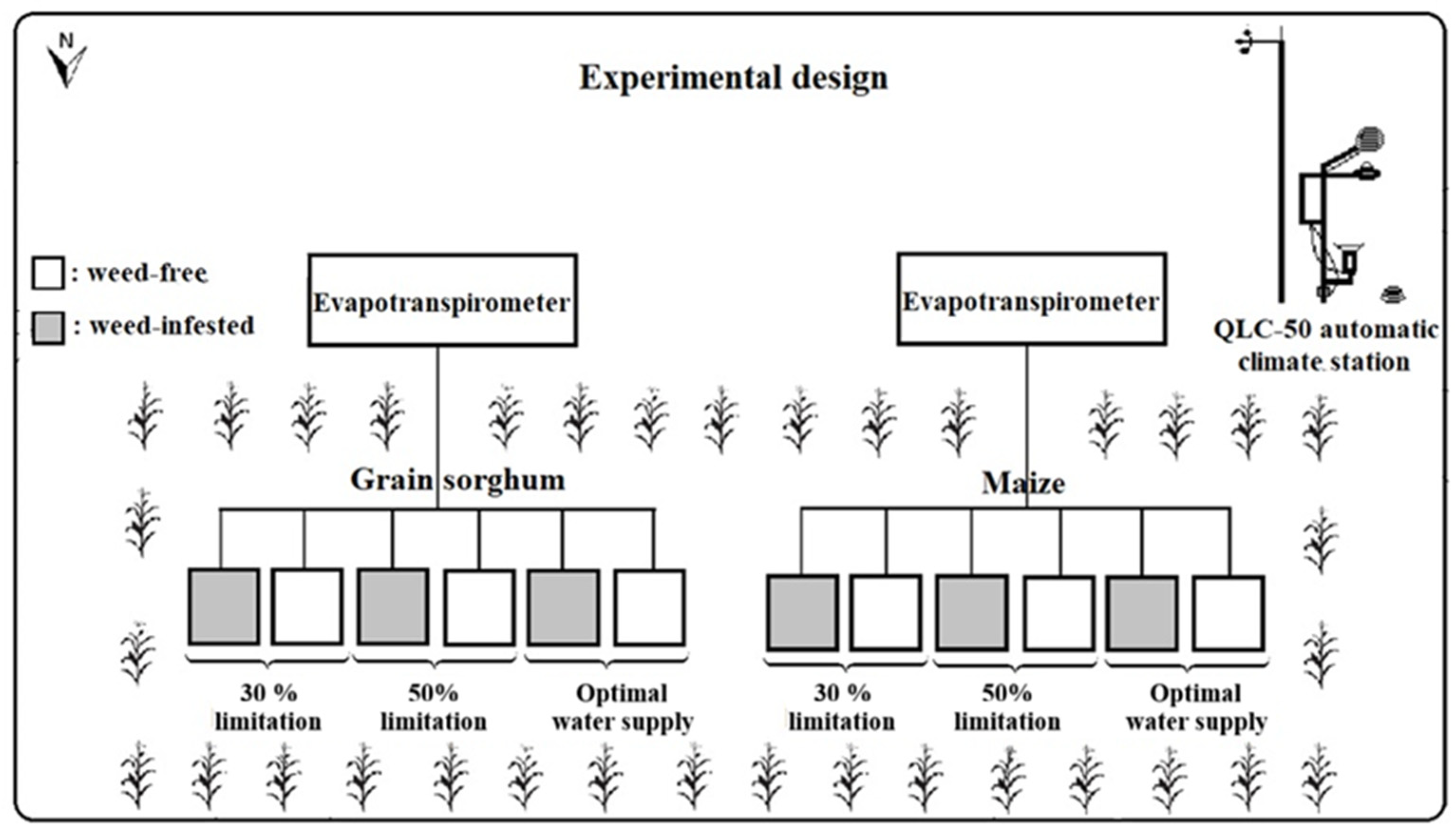 Agronomy 16 01110 g001
