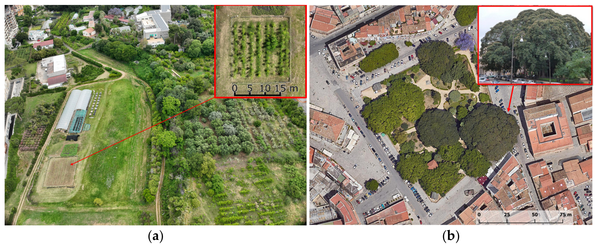 Agronomy 16 01130 g002