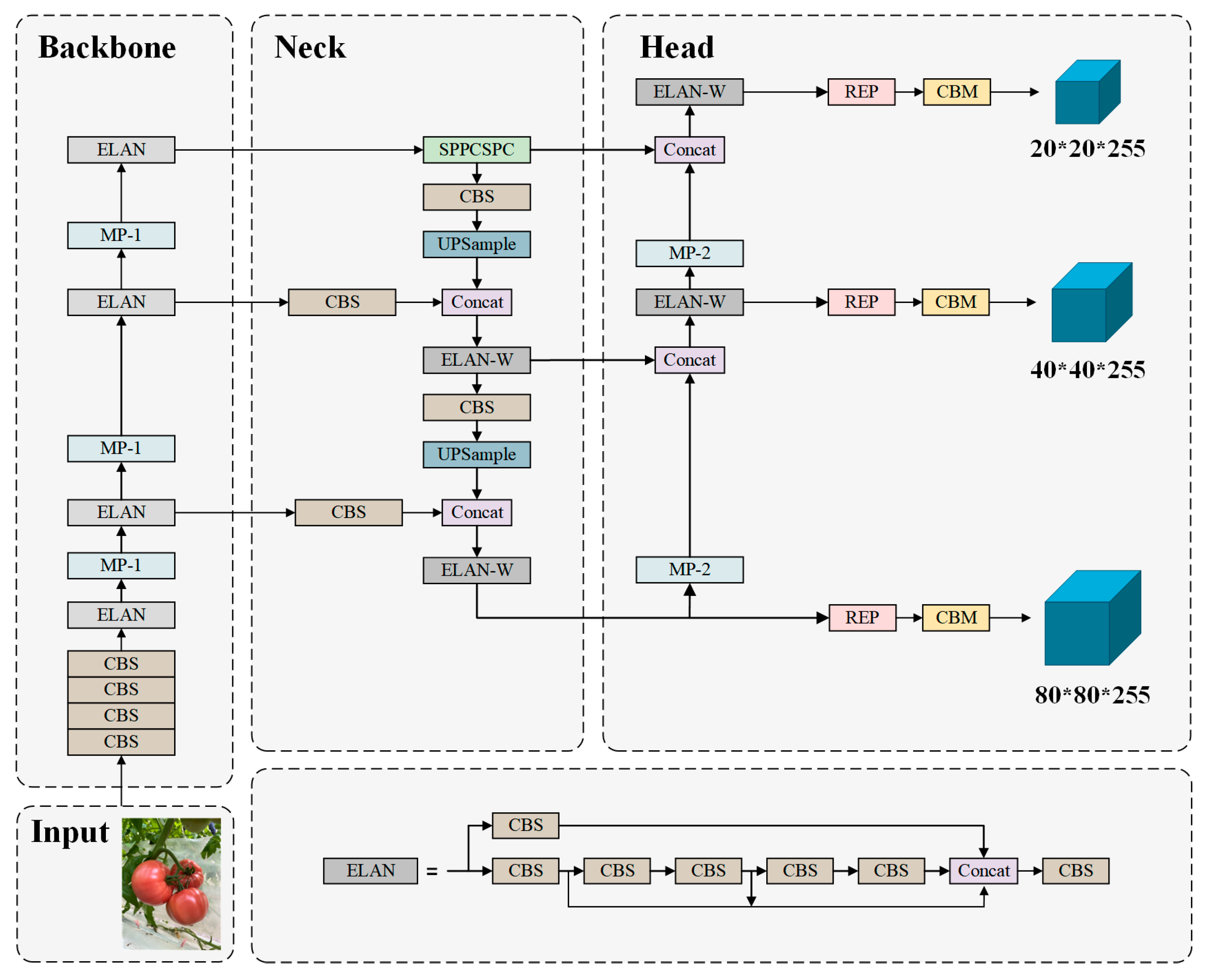 Agronomy 16 01146 g003