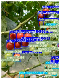 Agronomy 16 01146 i006