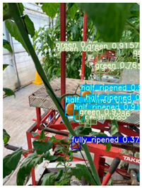 Agronomy 16 01146 i012