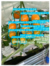 Agronomy 16 01146 i014