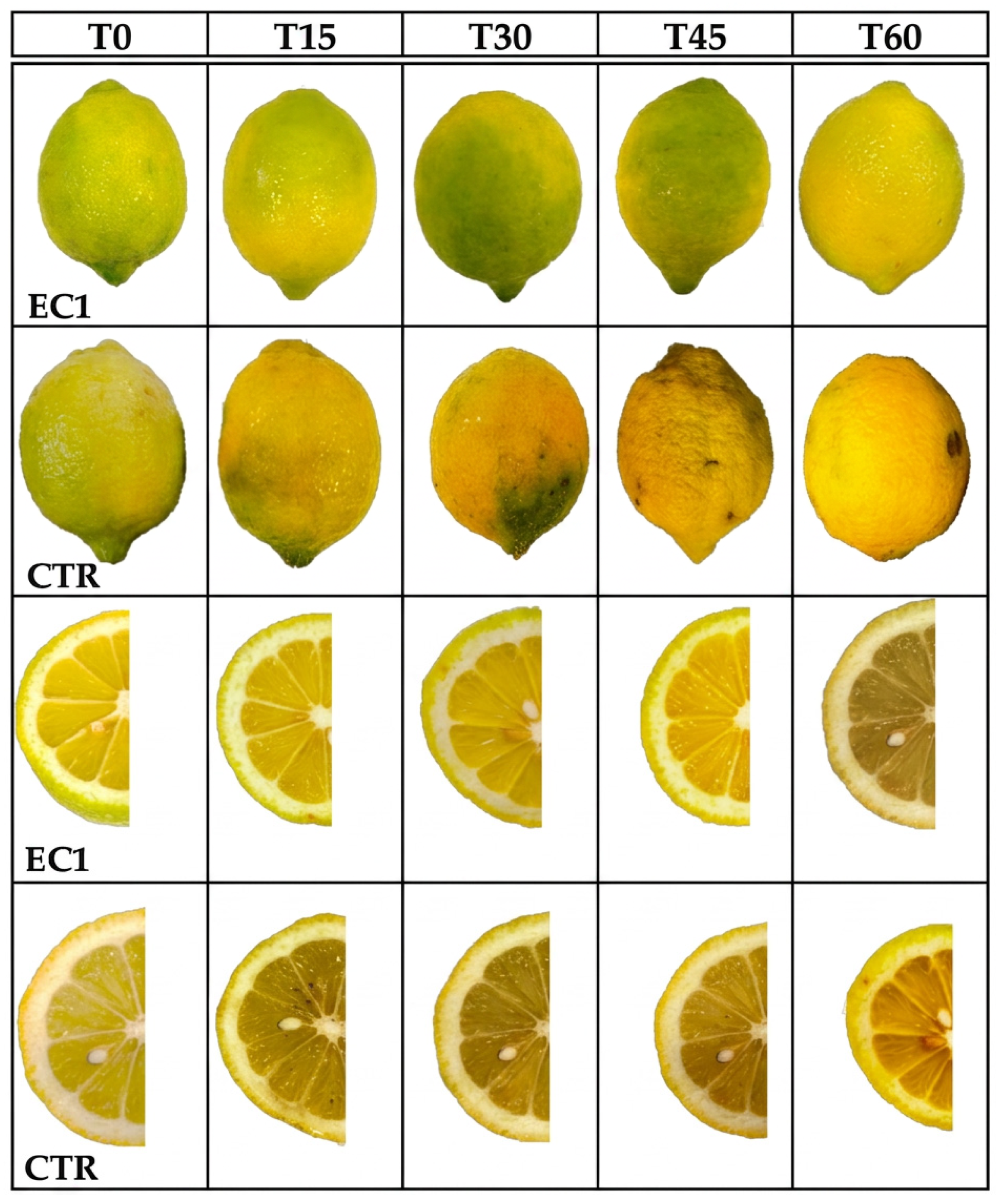 Agronomy 16 01173 g007 Agronomy 16 01173 g007