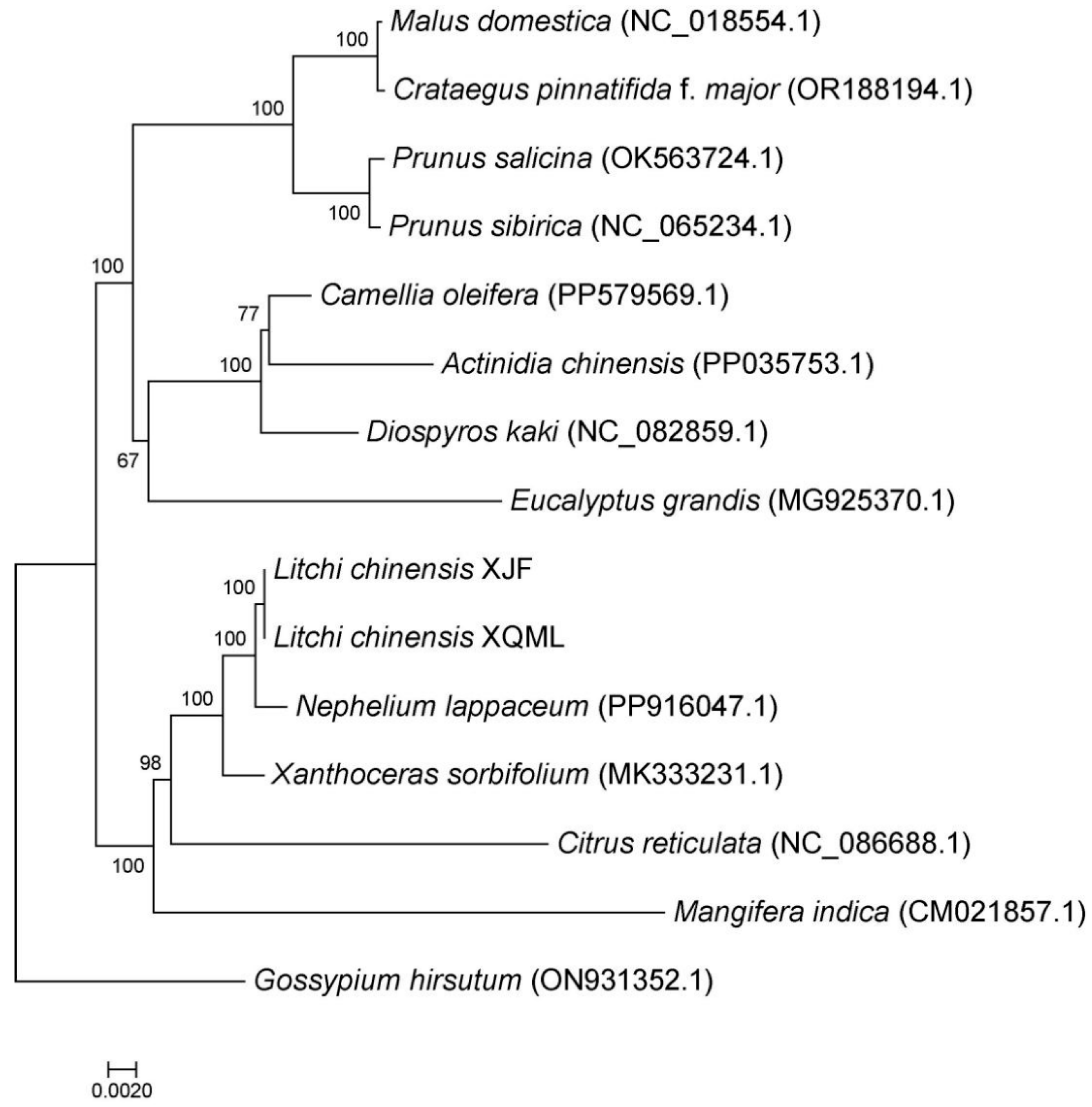 Agronomy 16 01229 g004