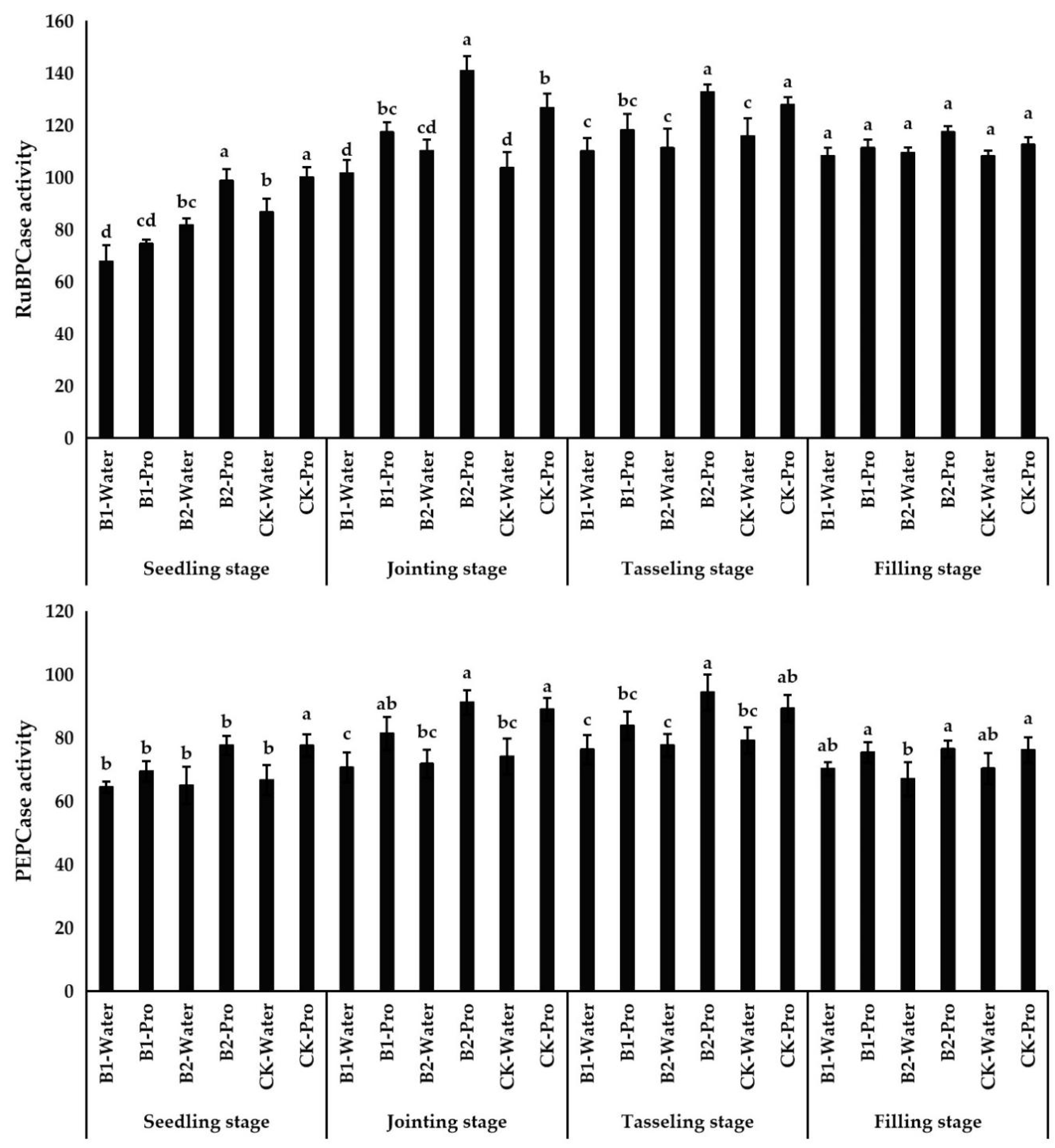 Agronomy 16 01367 g005 Agronomy 16 01367 g005