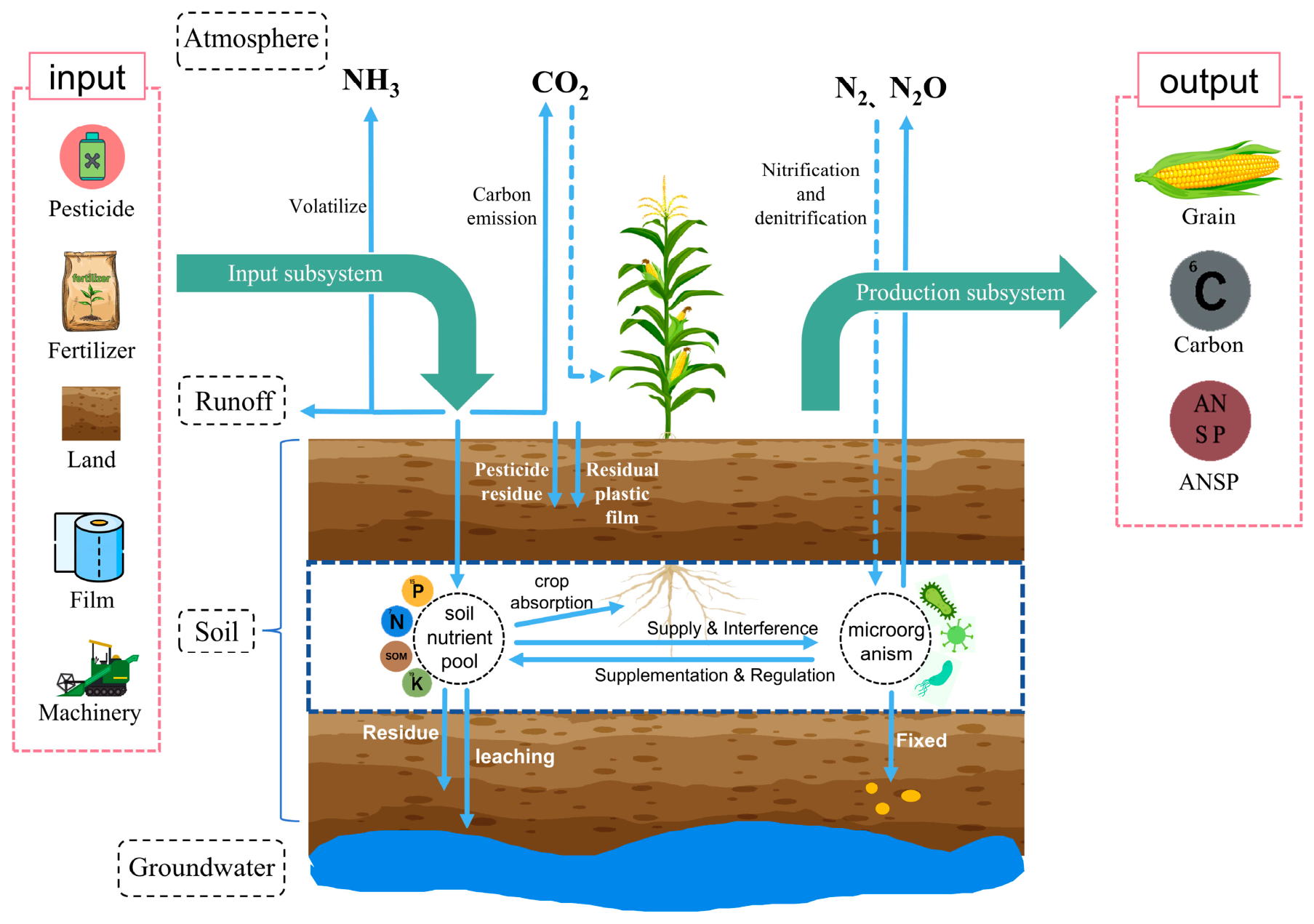 Agronomy 16 01379 g003